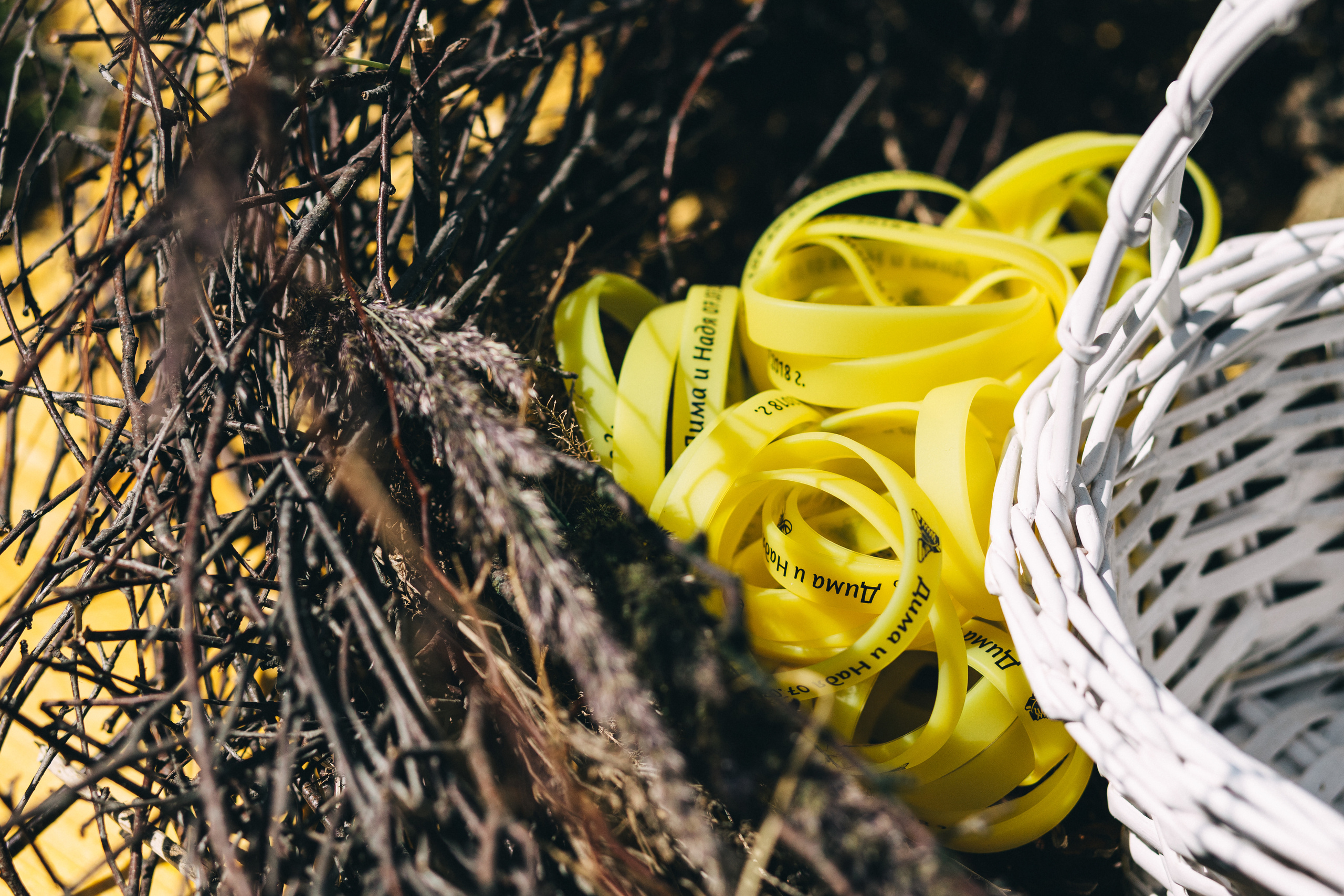 Свадебная фотосессия Надежды и Дмитрия Полоцк Новополоцк Витебск Минск. Свадебный фотограф Елена Ловцевич