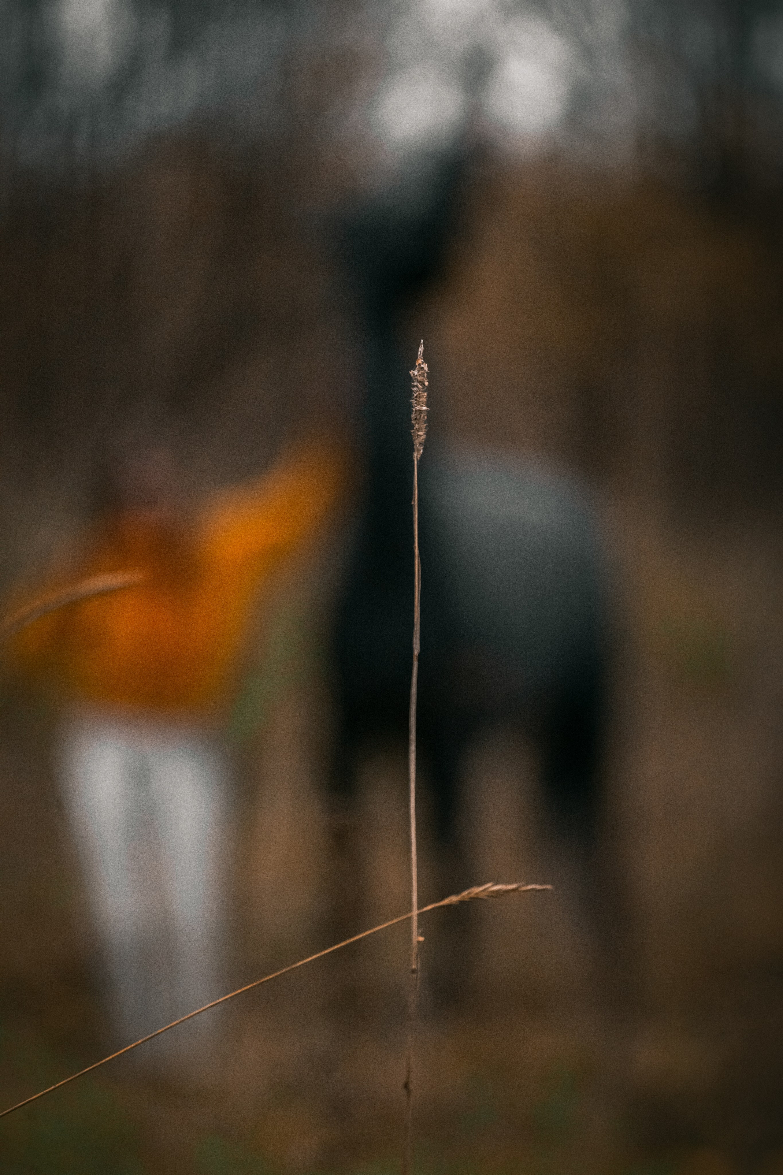 Аня и Джози. Фотограф-анималист Татьяна Степанова