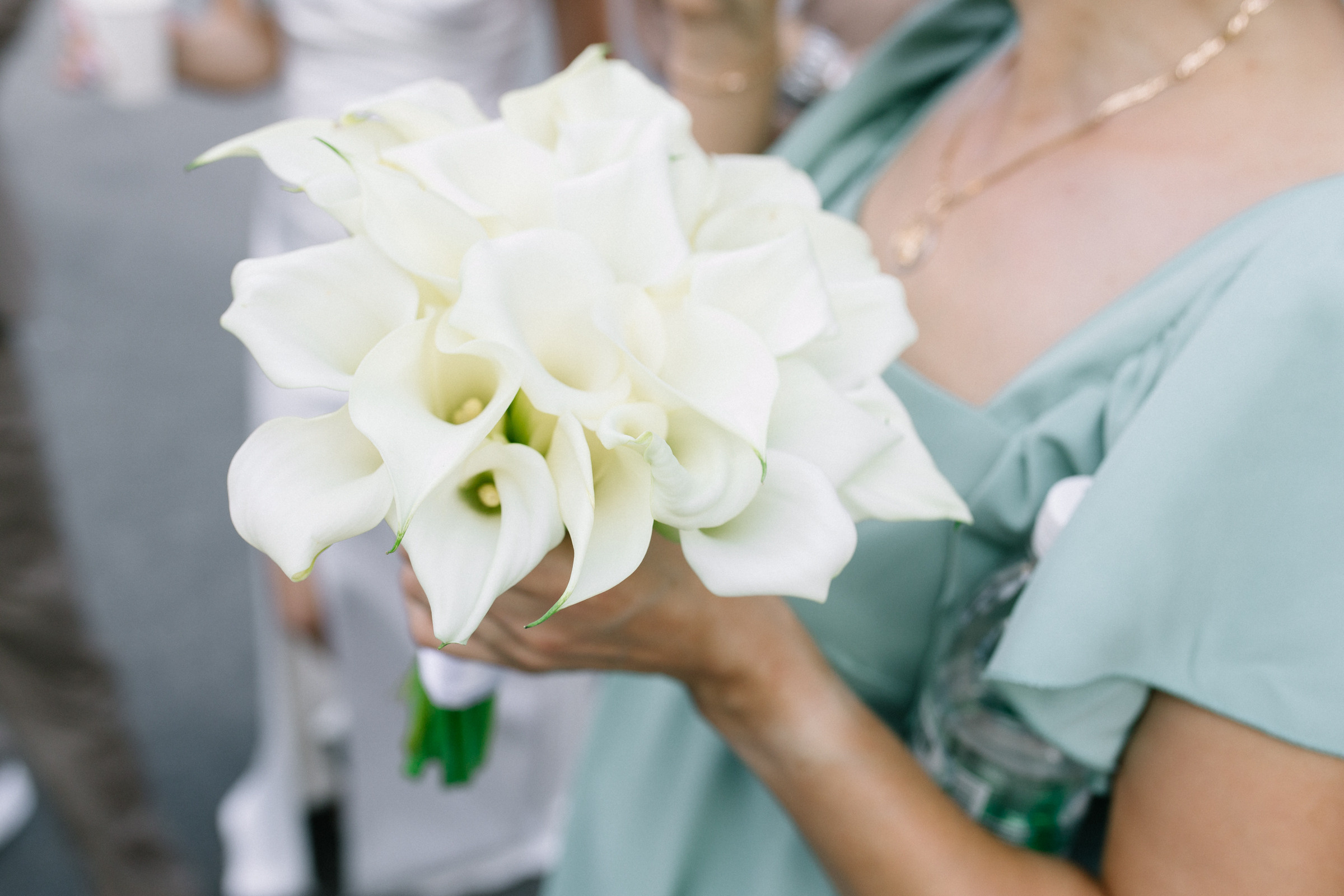 D & A. Свадебный и семейный фотограф Анжелика Альашкар в Казани Татарстан