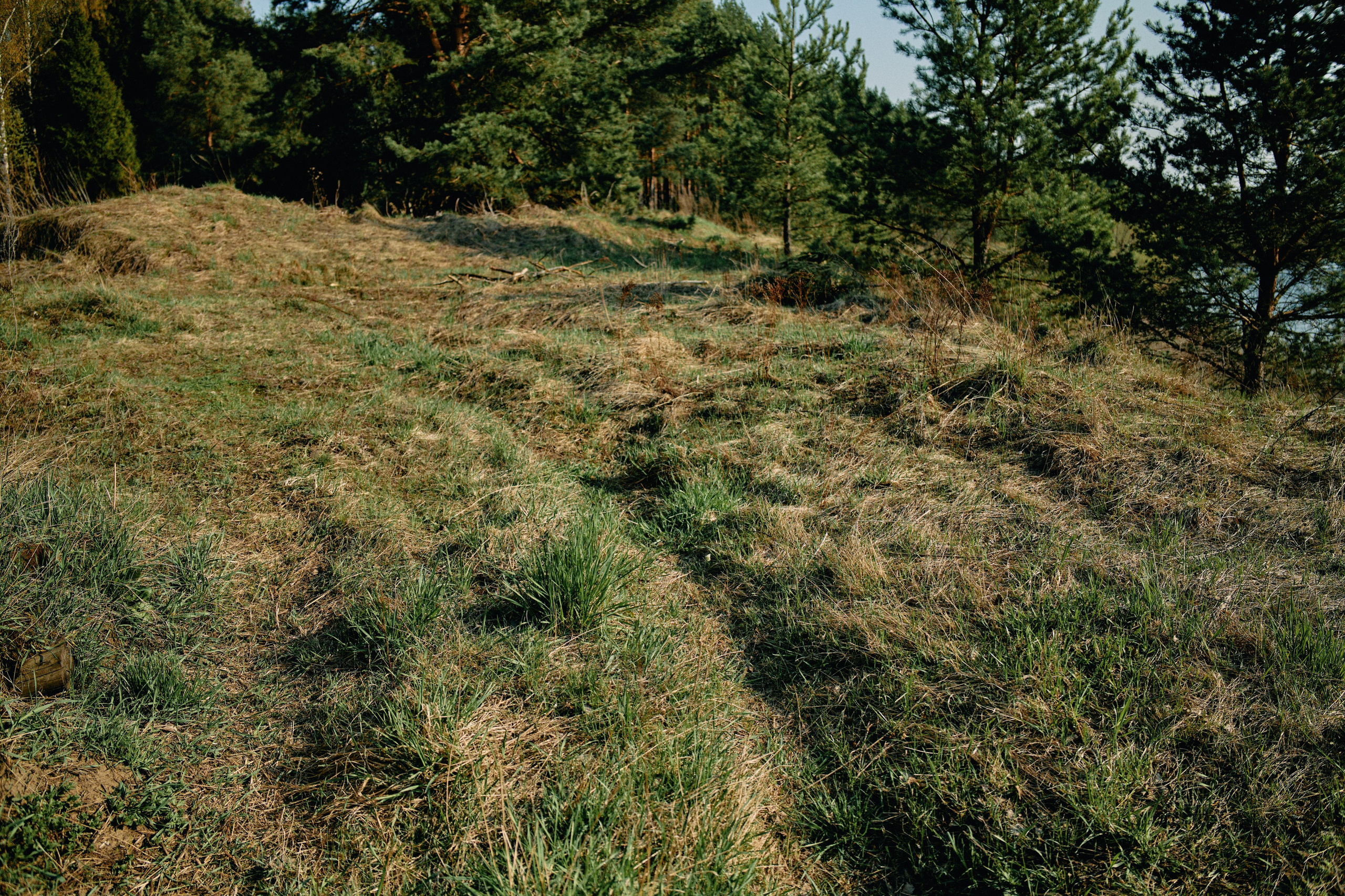 Бутик-отель Поле летом. Профессиональный Фотограф во Владимире, в Москве и в Суздале — Полина Романычева