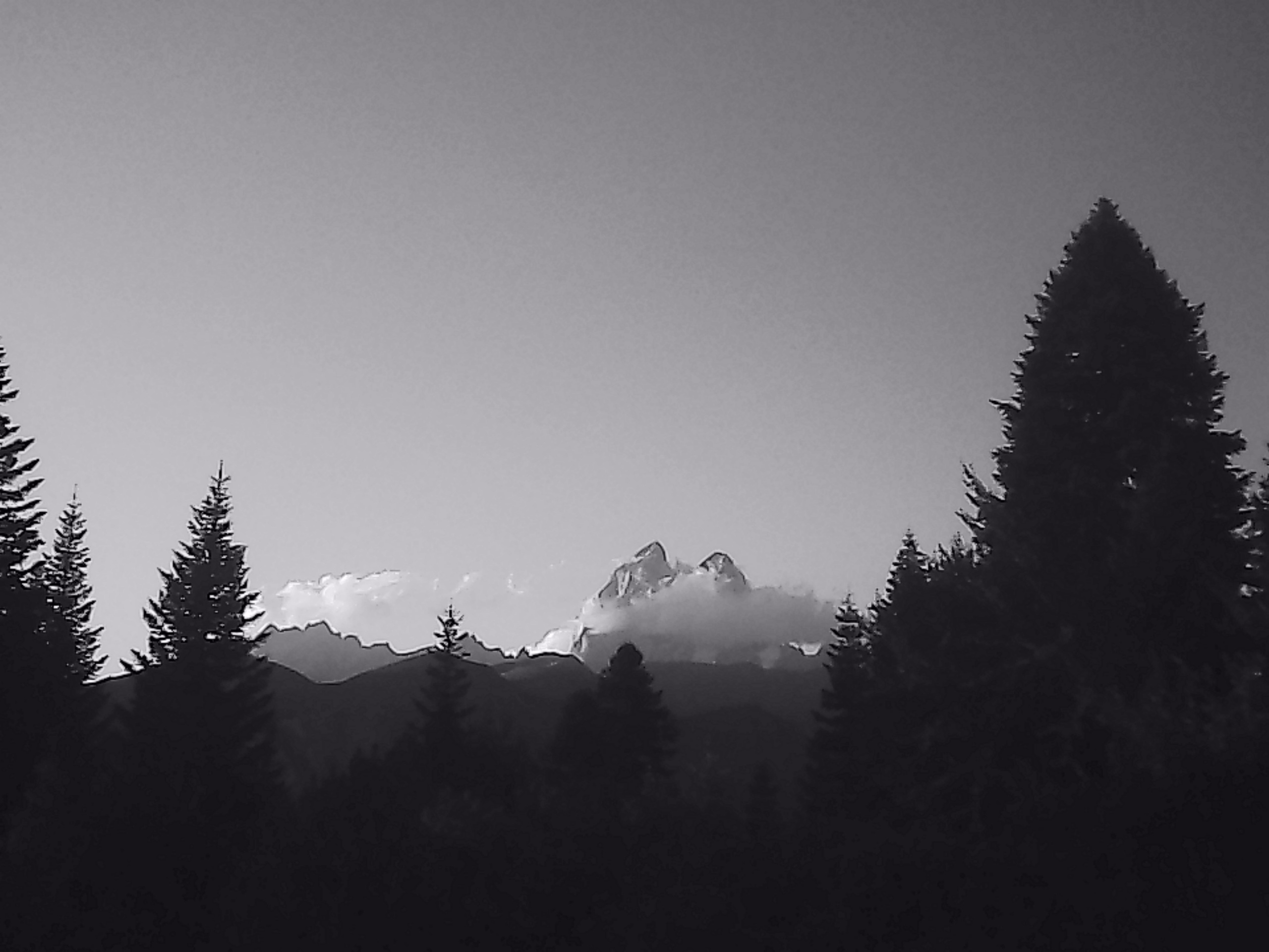 «Крошка 🐣». Anita_photo