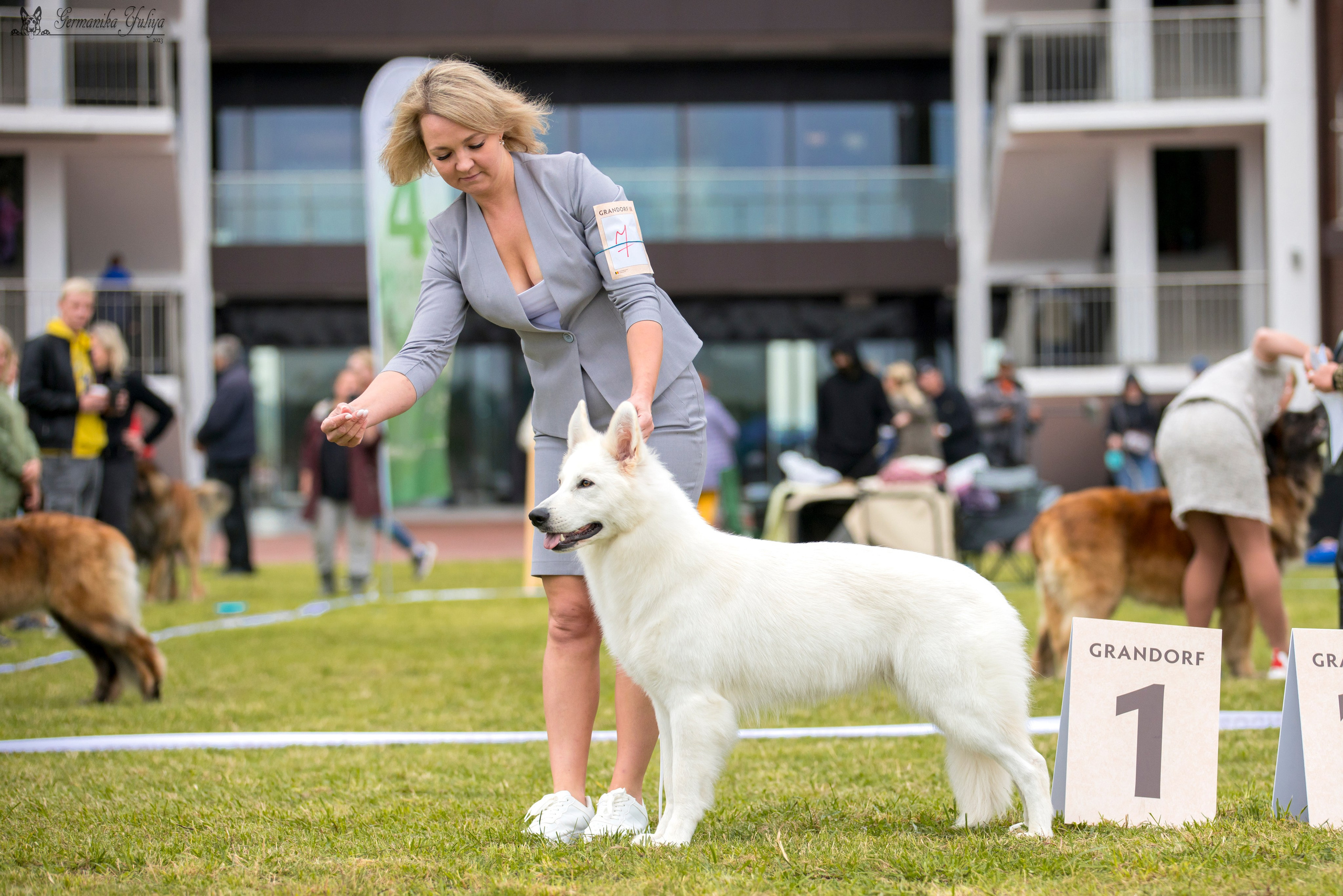 Переславль 9-10.09.2023. Фотограф-анималист Юлия Германика