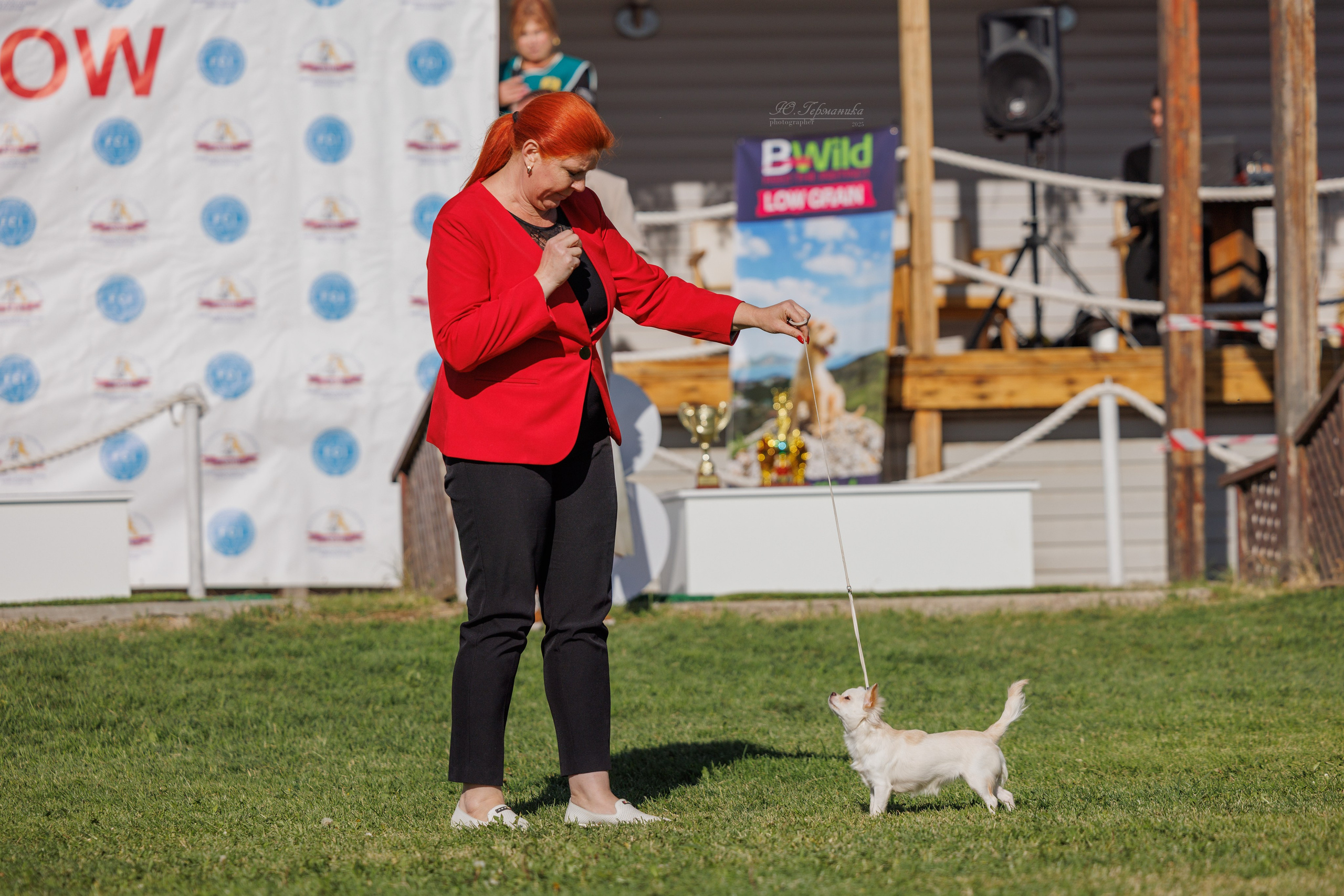 Ереван 14-16.10.2025. Фотограф-анималист Юлия Германика