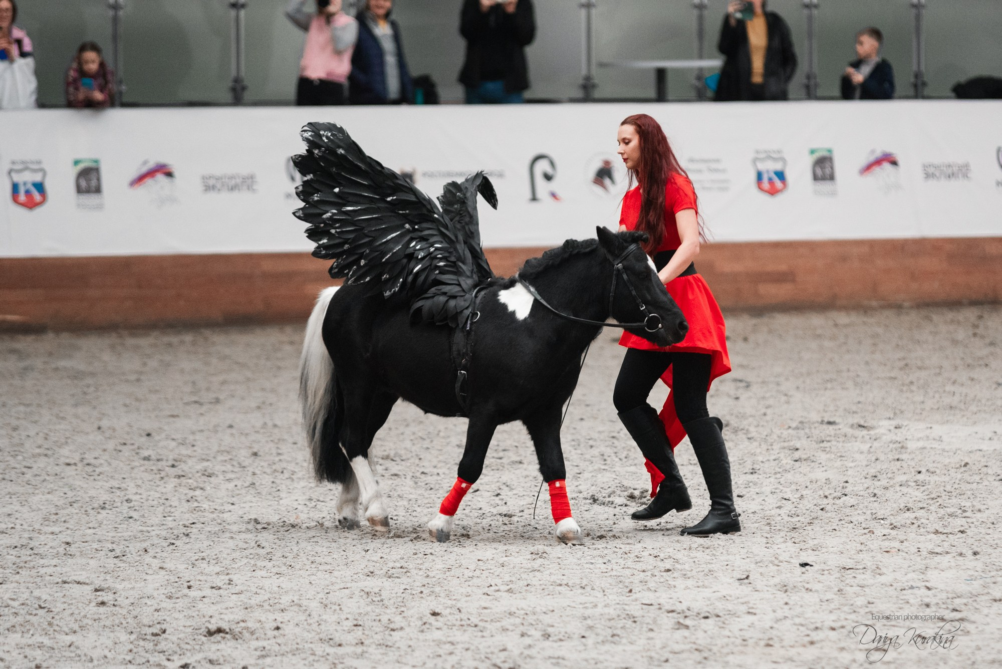 8-я международная выставка Конная Россия. Конный фотограф Куракина Дарья • Фотосессии с лошадьми