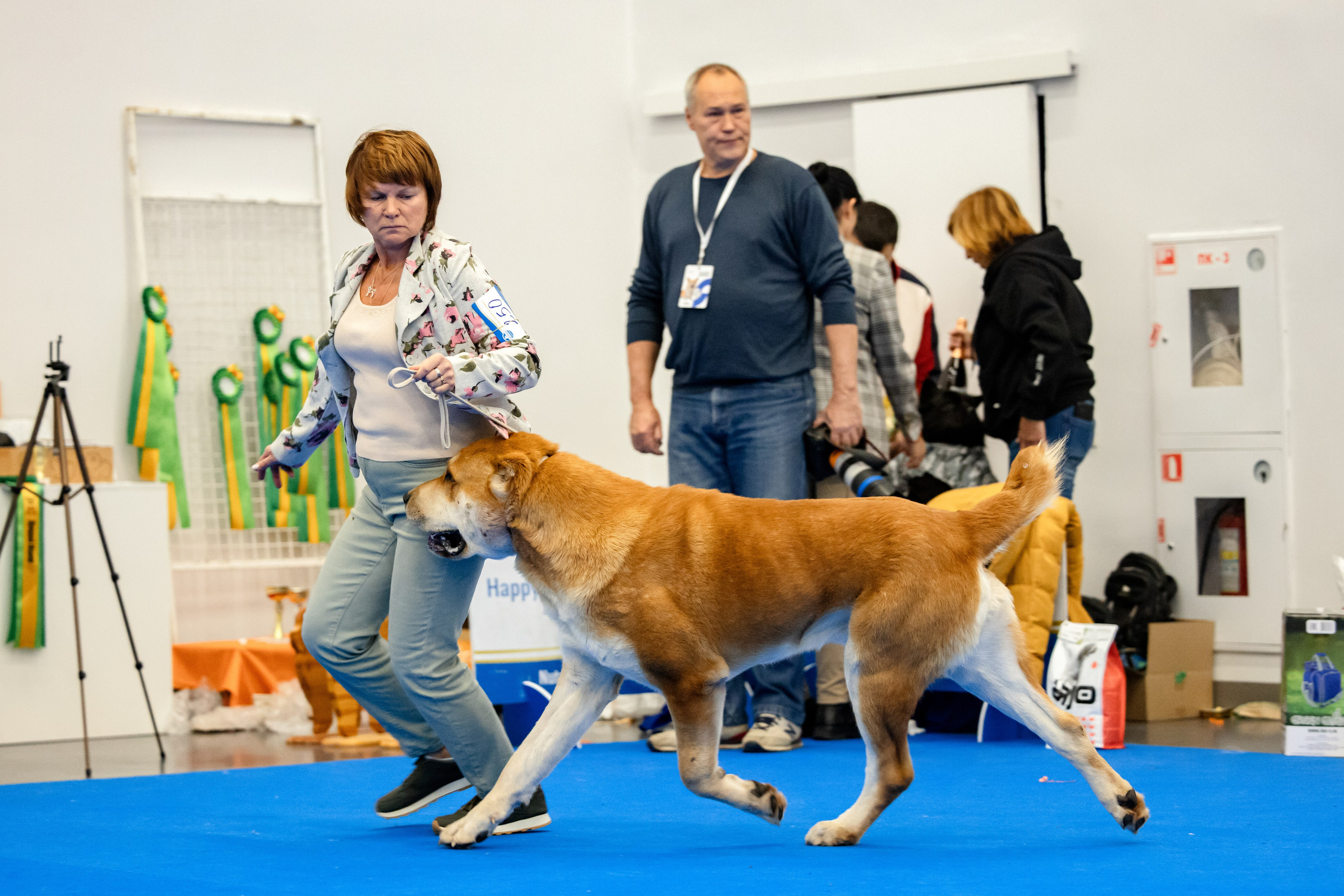 Нижний Новгород 21-22.10.2023. Фотограф-анималист Юлия Германика