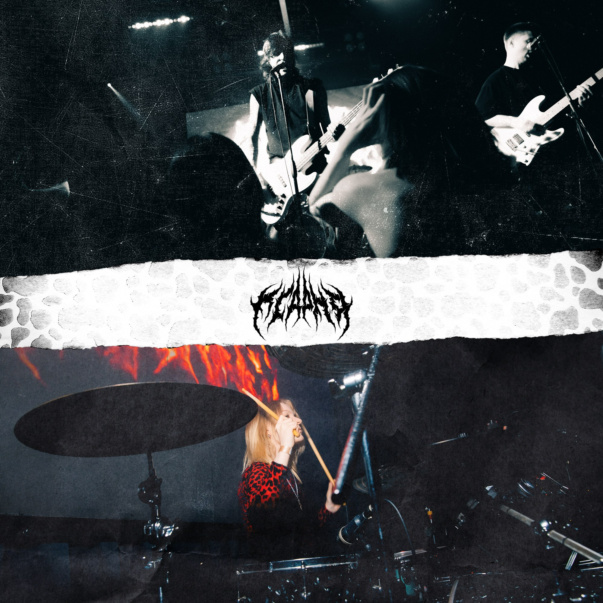 QR FEST. PASHAHARCE PHOTOGRAPHER & VIDEOGRAPHER