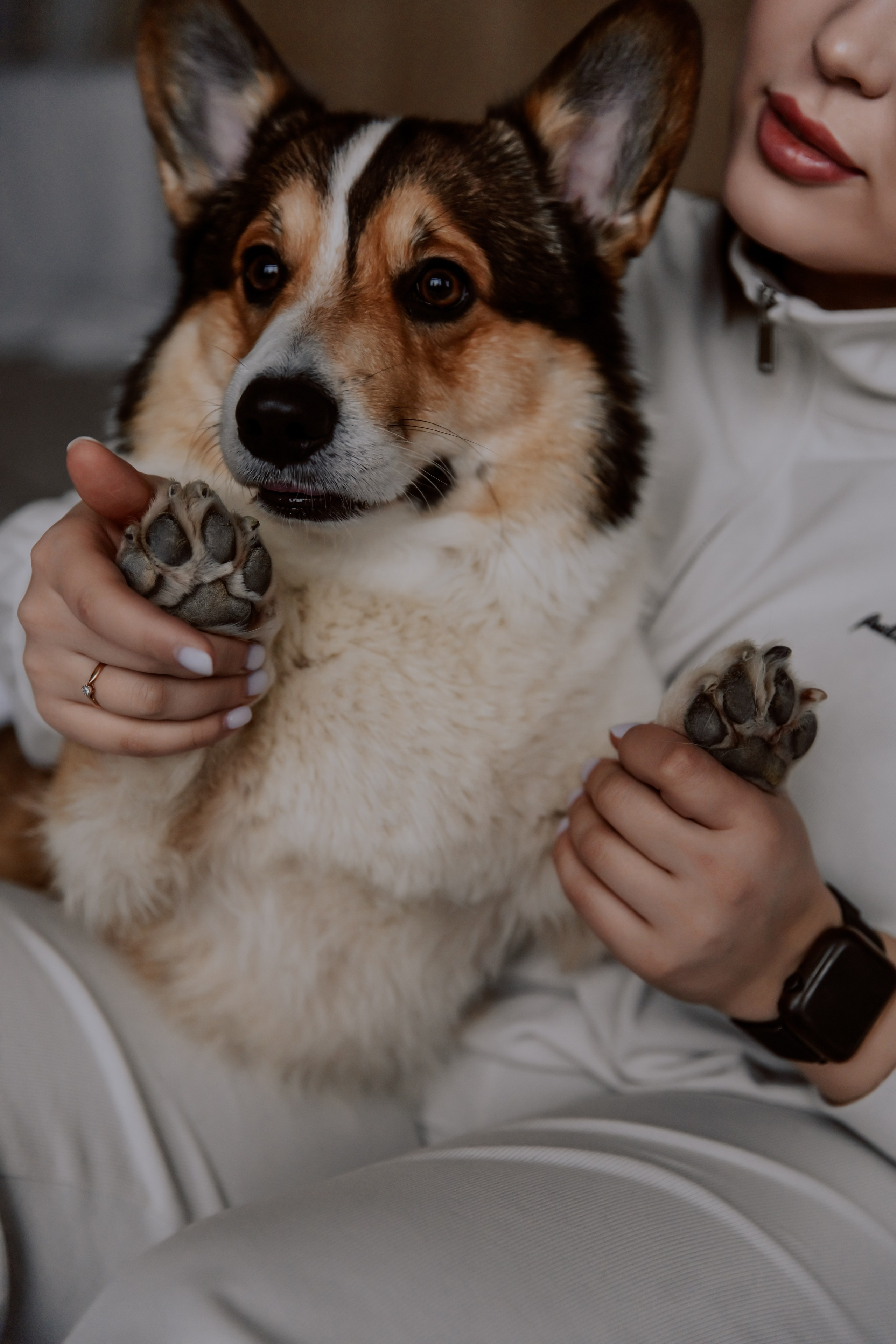 Саша, Илья и песик Кураж. Фотограф, который снимает любовь в Санкт-Петербурге и Череповце