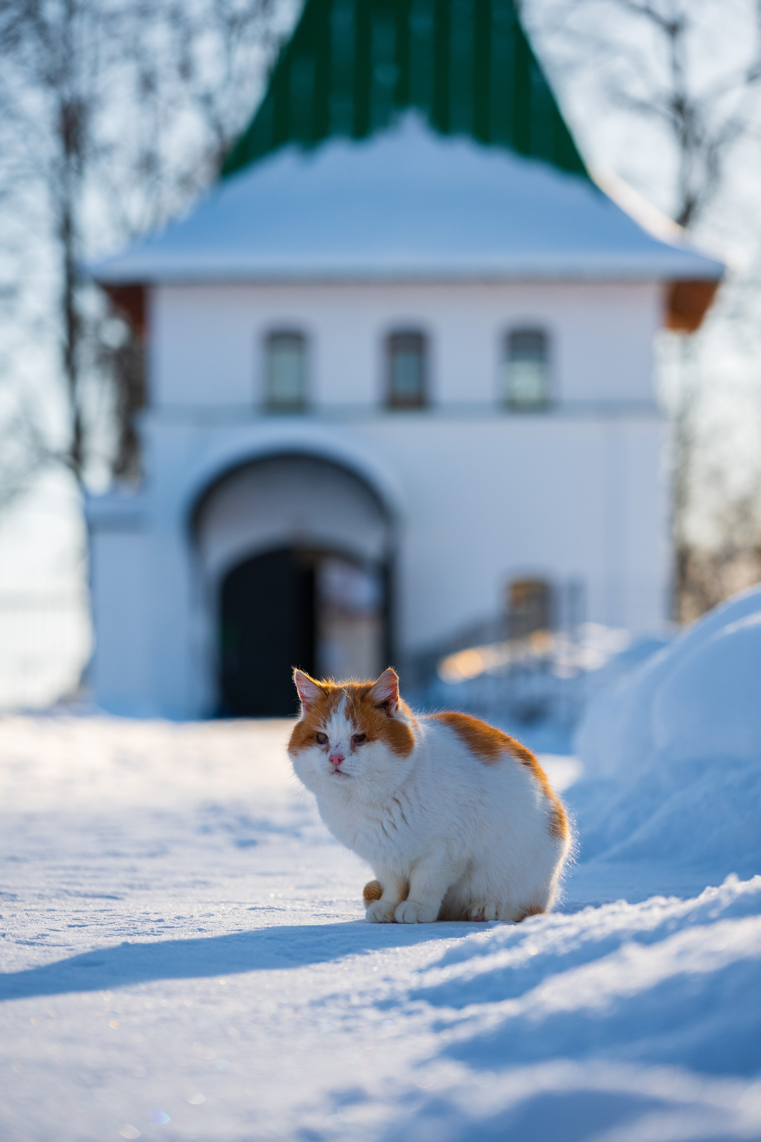 Добринский монастырь, Суворовский район. Фотограф и видеооператор в Туле | Даниил Рыбак