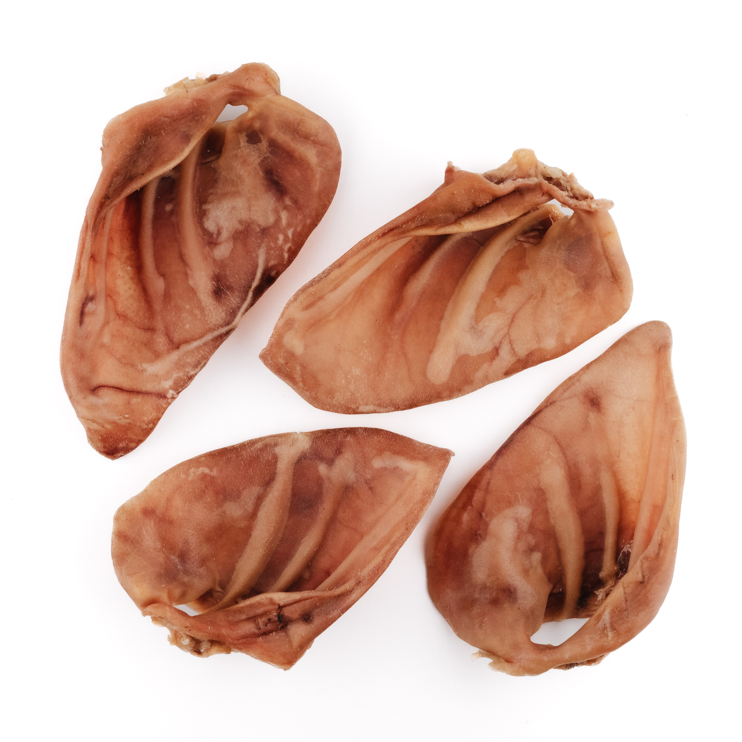 Dog Bone лакомства. Фотограф-анималист Валерия, Москва, Мытищи