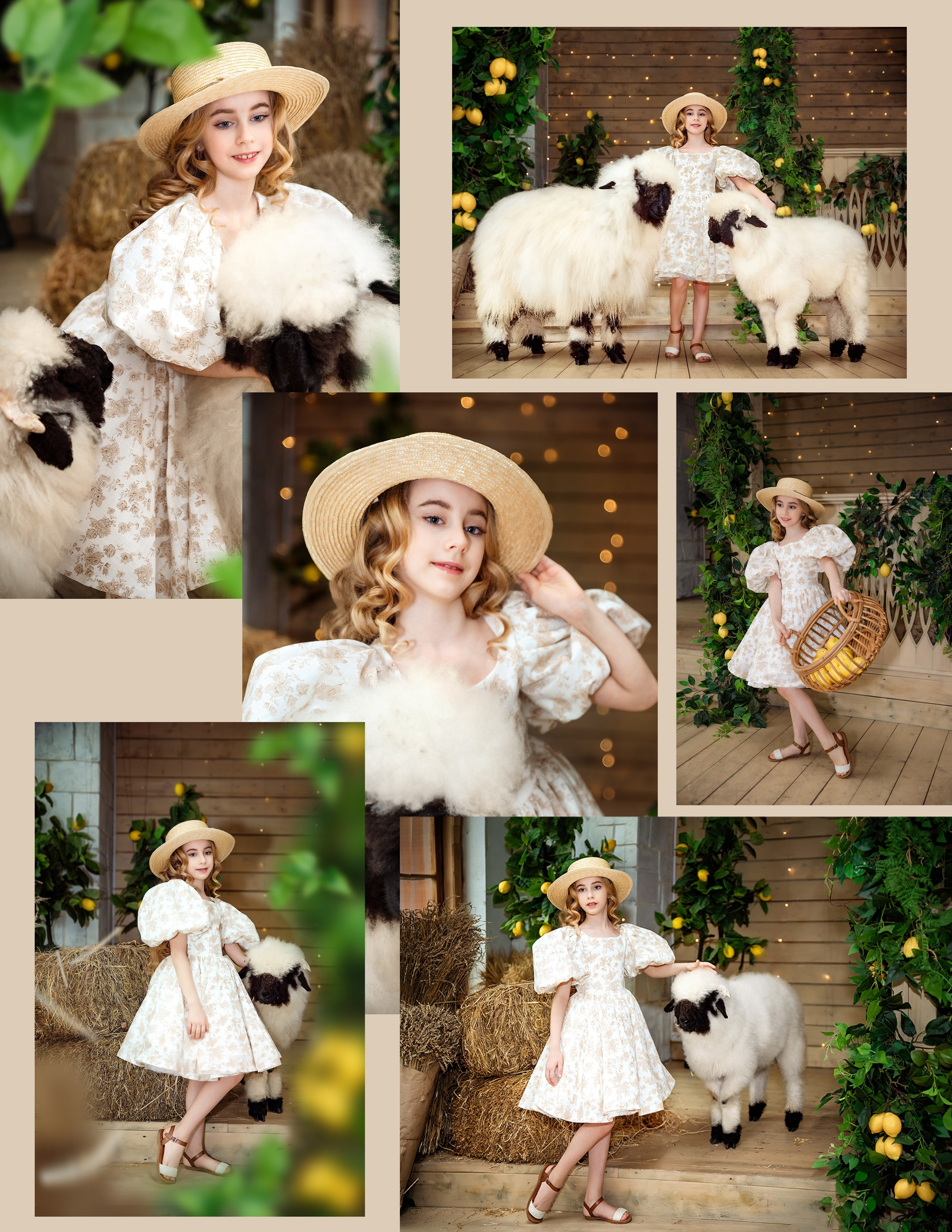 Овечки. Фотограф в Москве Lidiya_Li_Photo