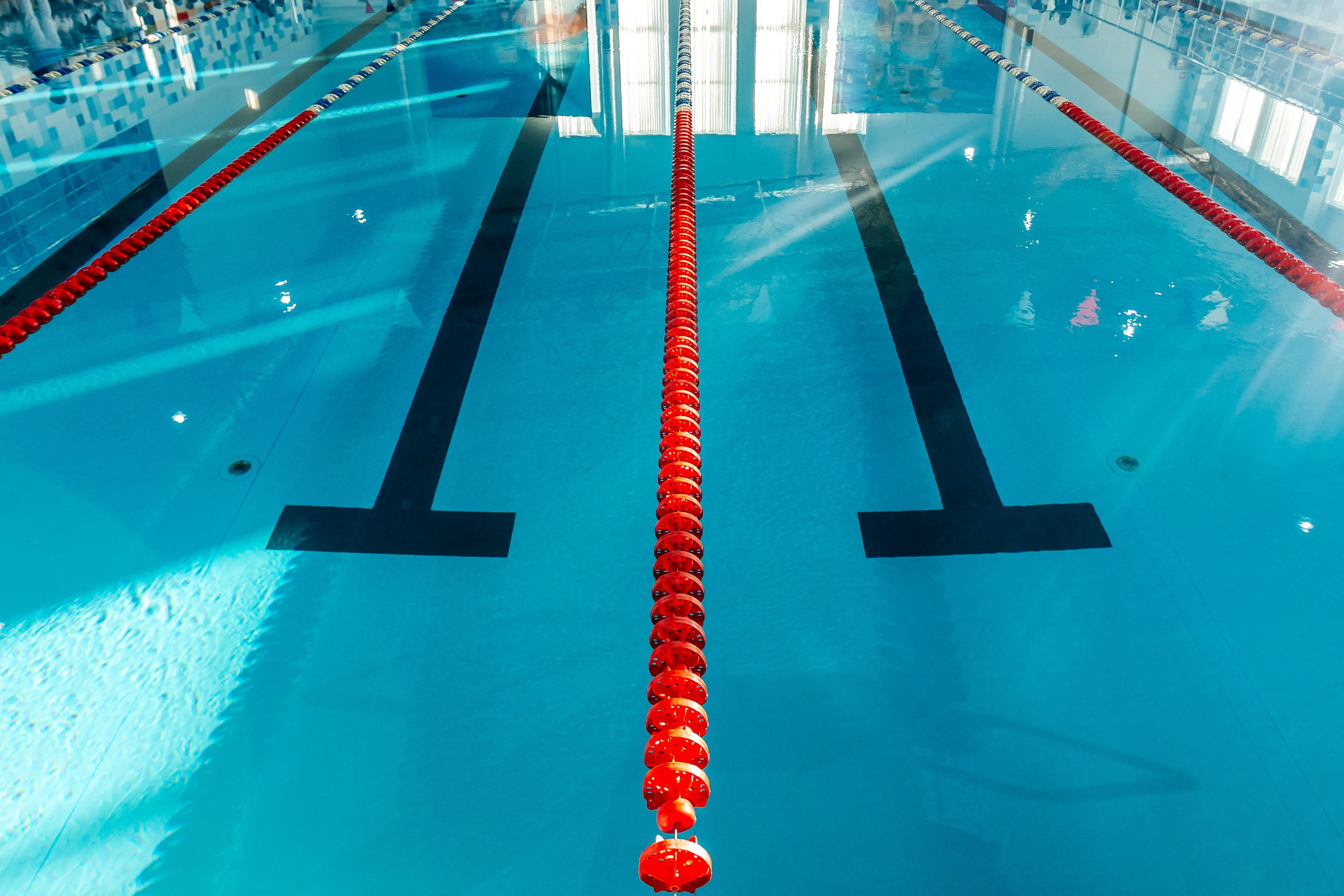 Школа плавания «Виктория». Свадебный фотограф в Краснодаре Николай Крауз