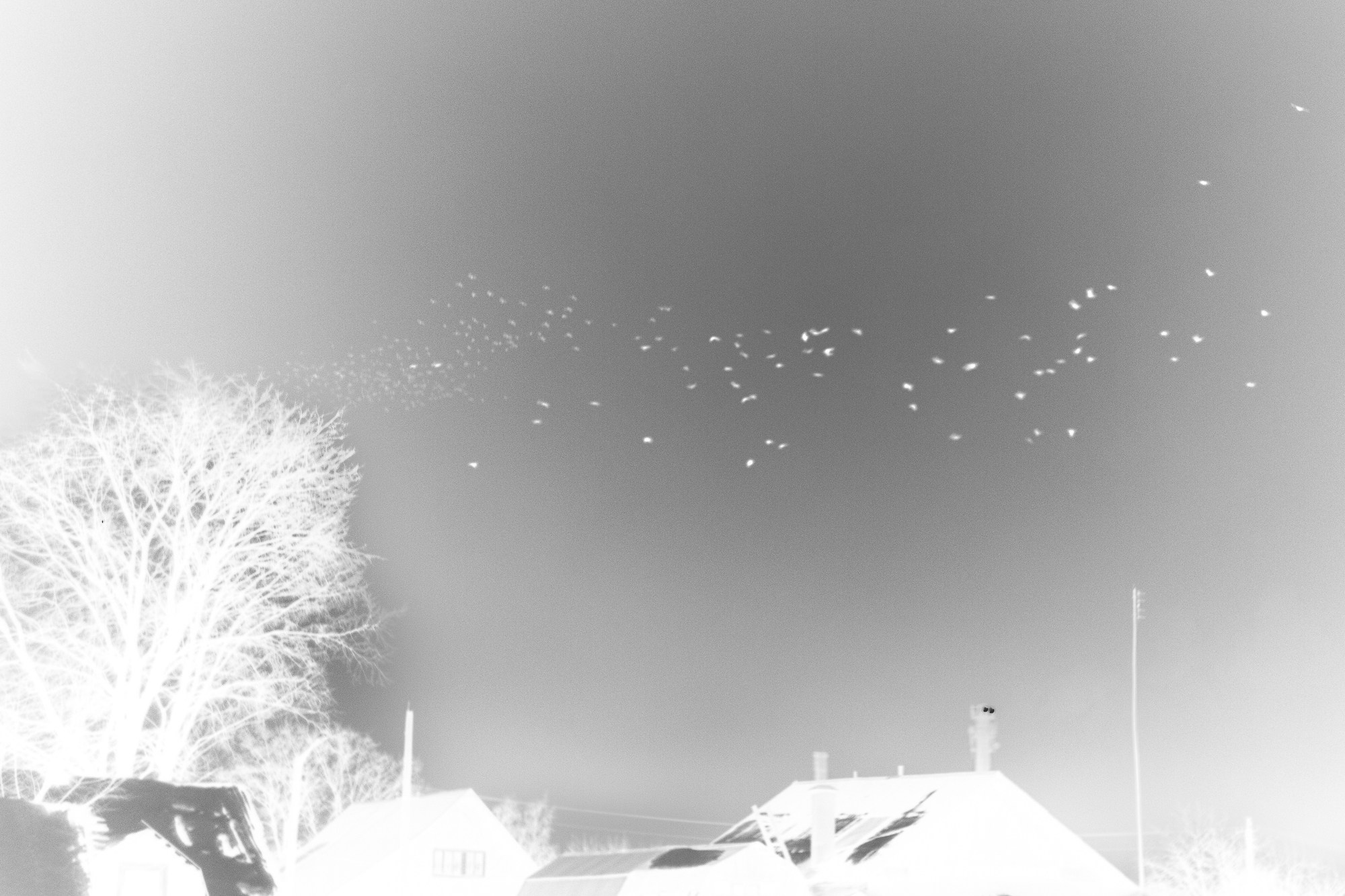 По ту сторону зимы. Женский семейный фотограф Тула Москва Захарова Анна