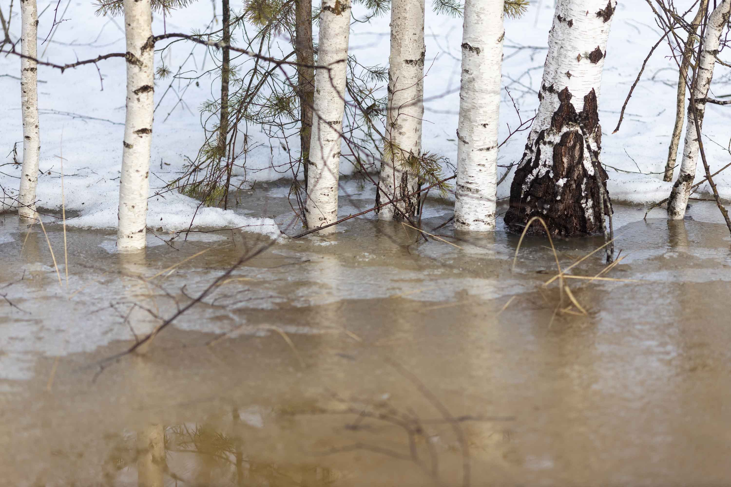 Природные пейзажи. Наталия Клевинскас портретный фотограф в Костроме