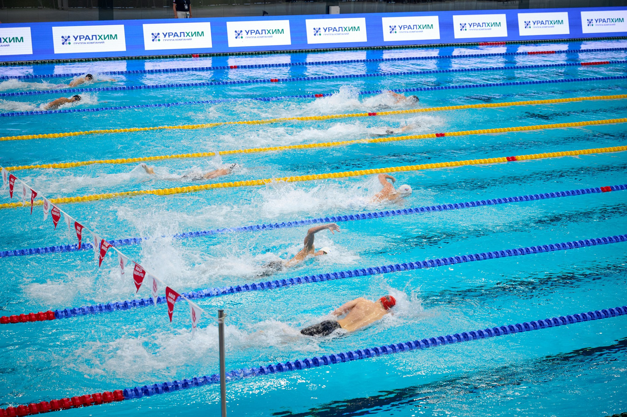 Кубок России по плаванию 2024 г. Екатеринбург. Мезенцев Евгений фотограф
