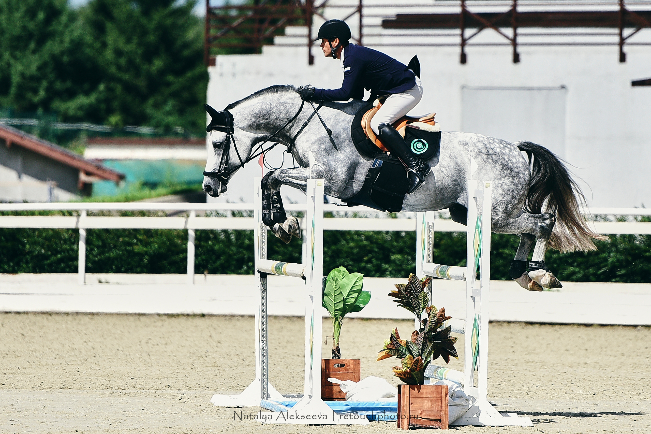 Командный Кубок Maxima Masters Team, Maxima Stables | 07'2020. Репортажный фотограф и ретушер в Москве Наталья Алексеева