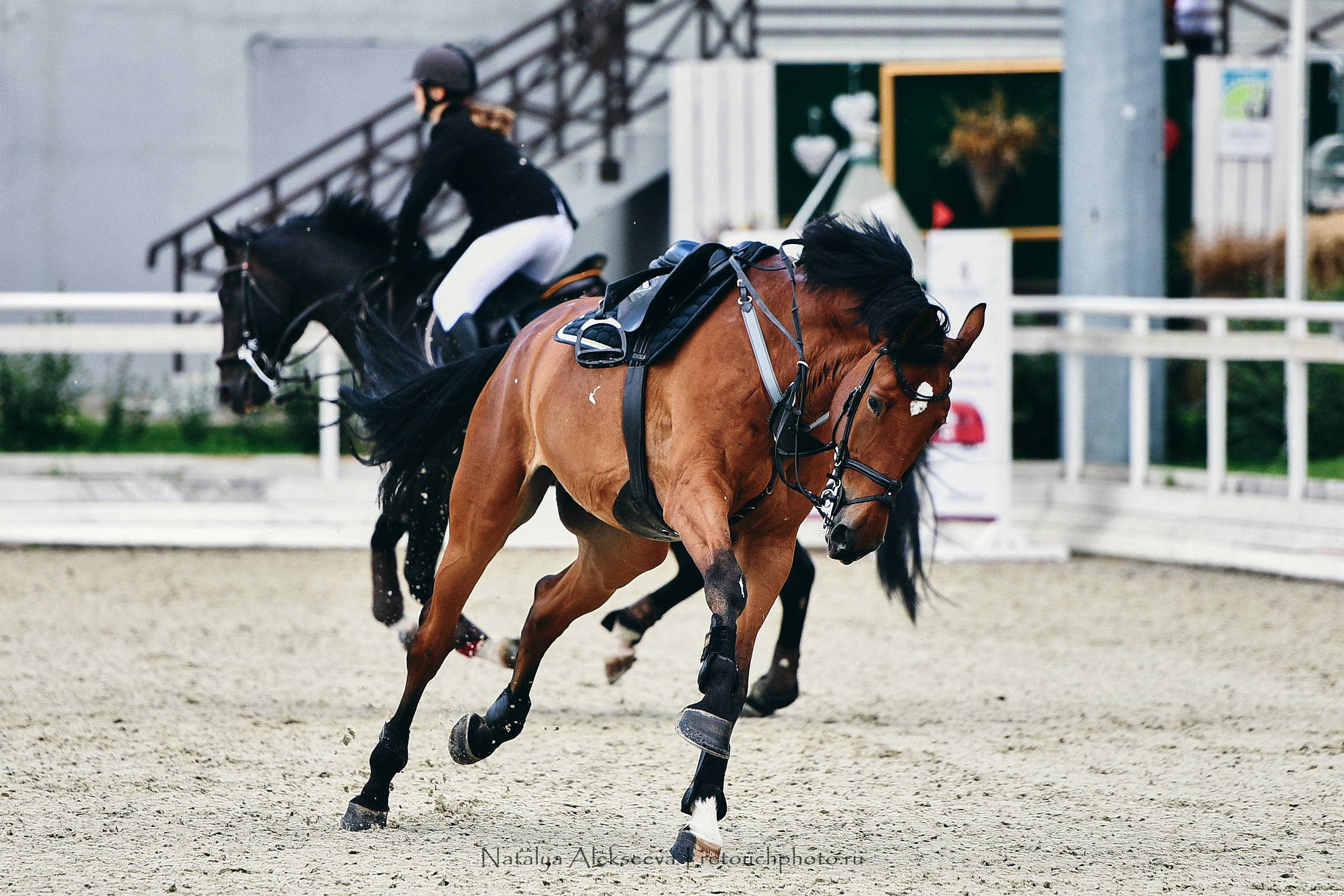 Командный Кубок Maxima Masters Team, Maxima Stables | 07'2020. Репортажный фотограф и ретушер в Москве Наталья Алексеева