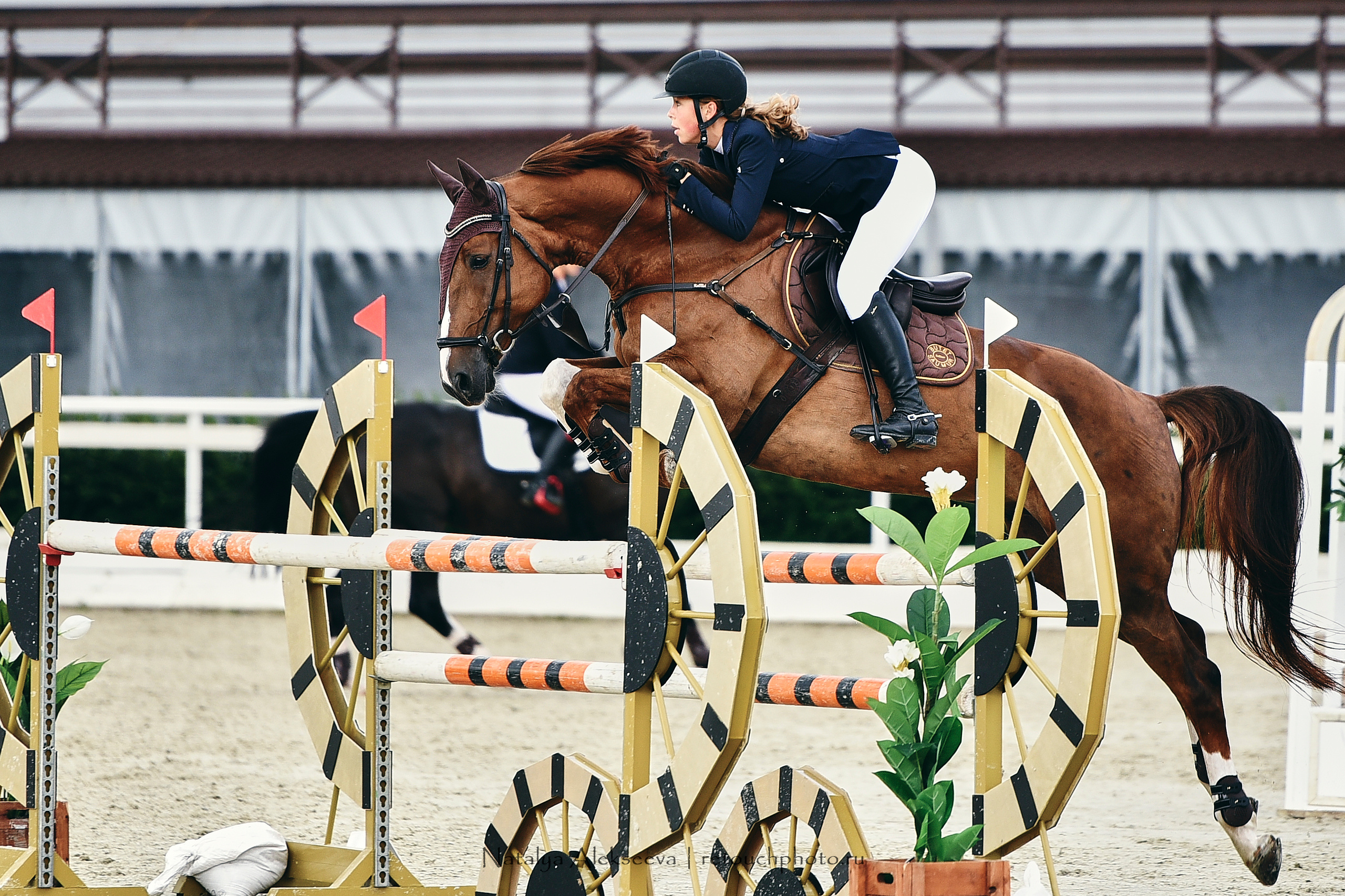 Командный Кубок Maxima Masters Team, Maxima Stables | 07'2020. Репортажный фотограф и ретушер в Москве Наталья Алексеева