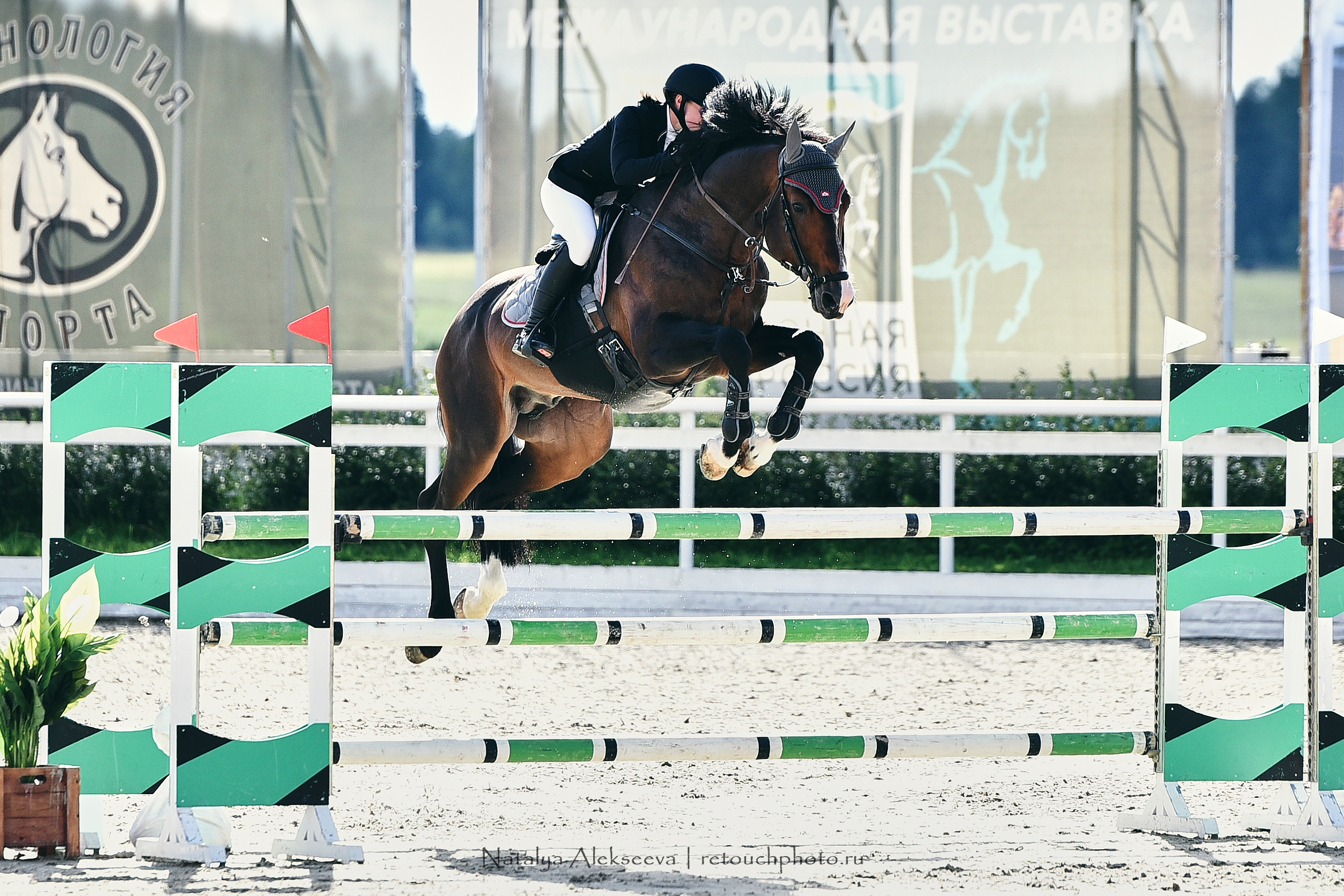 Командный Кубок Maxima Masters Team, Maxima Stables | 07'2020. Репортажный фотограф и ретушер в Москве Наталья Алексеева