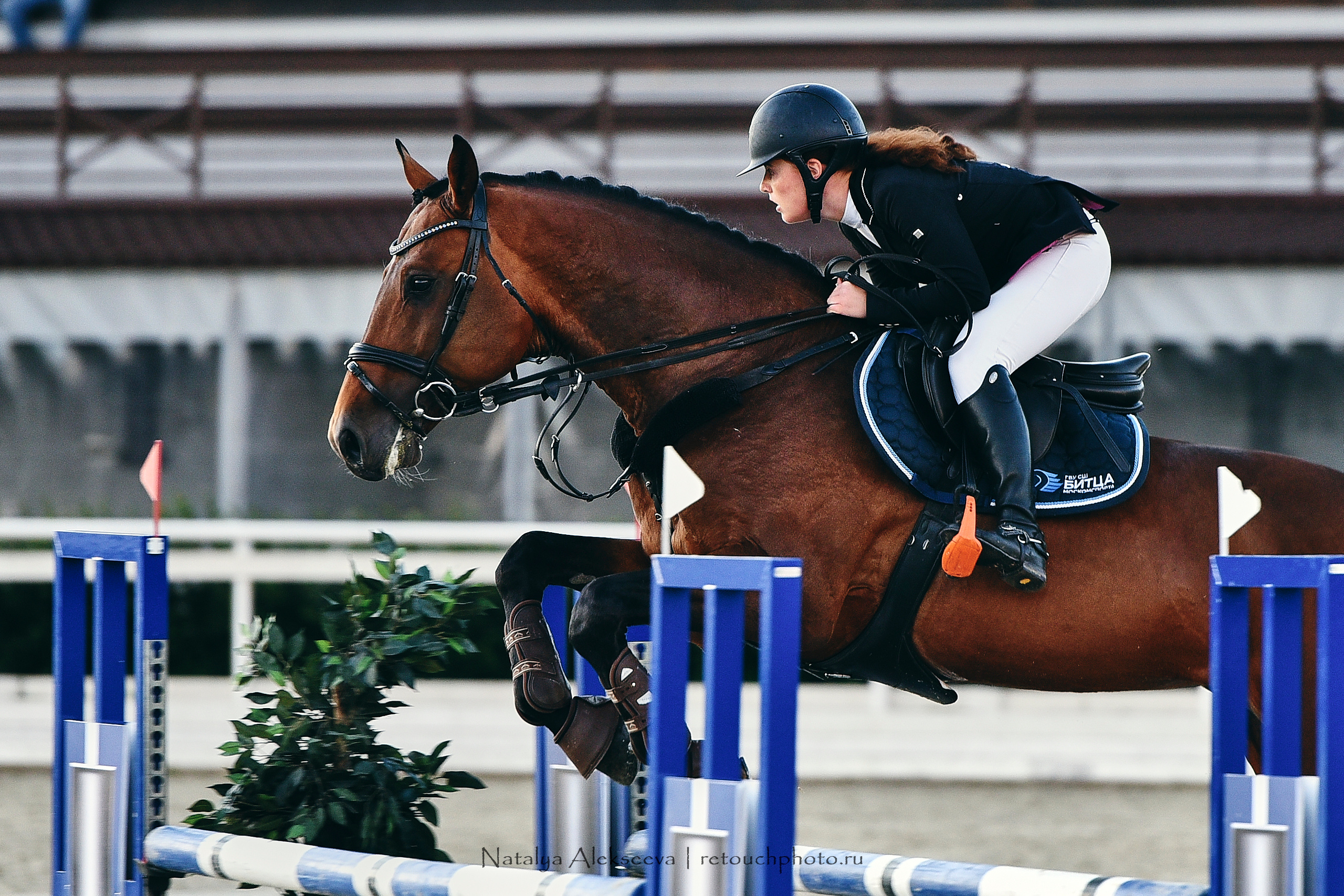 Командный Кубок Maxima Masters Team, Maxima Stables | 07'2020. Репортажный фотограф и ретушер в Москве Наталья Алексеева