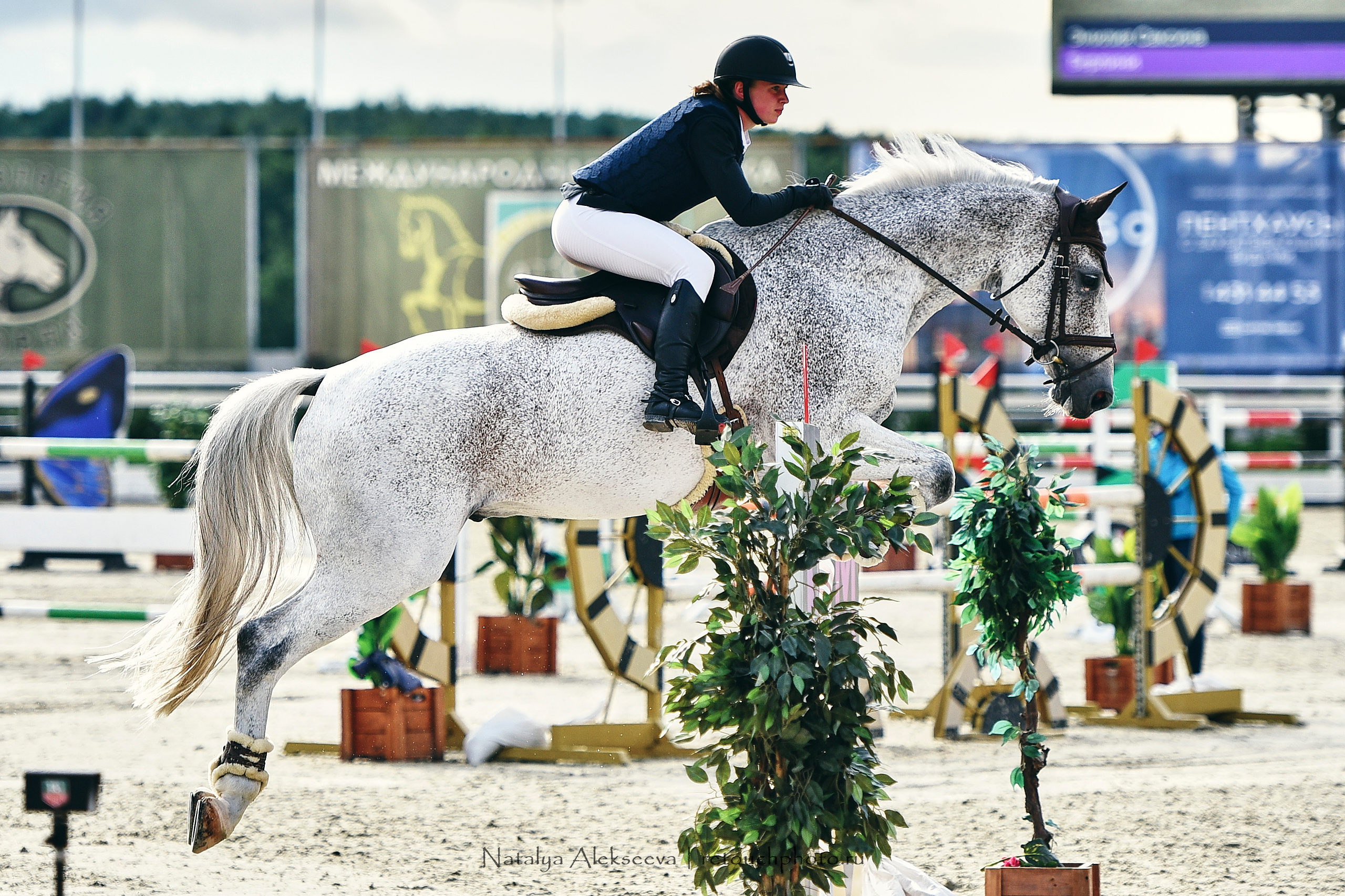 Командный Кубок Maxima Masters Team, Maxima Stables | 07'2020. Репортажный фотограф и ретушер в Москве Наталья Алексеева