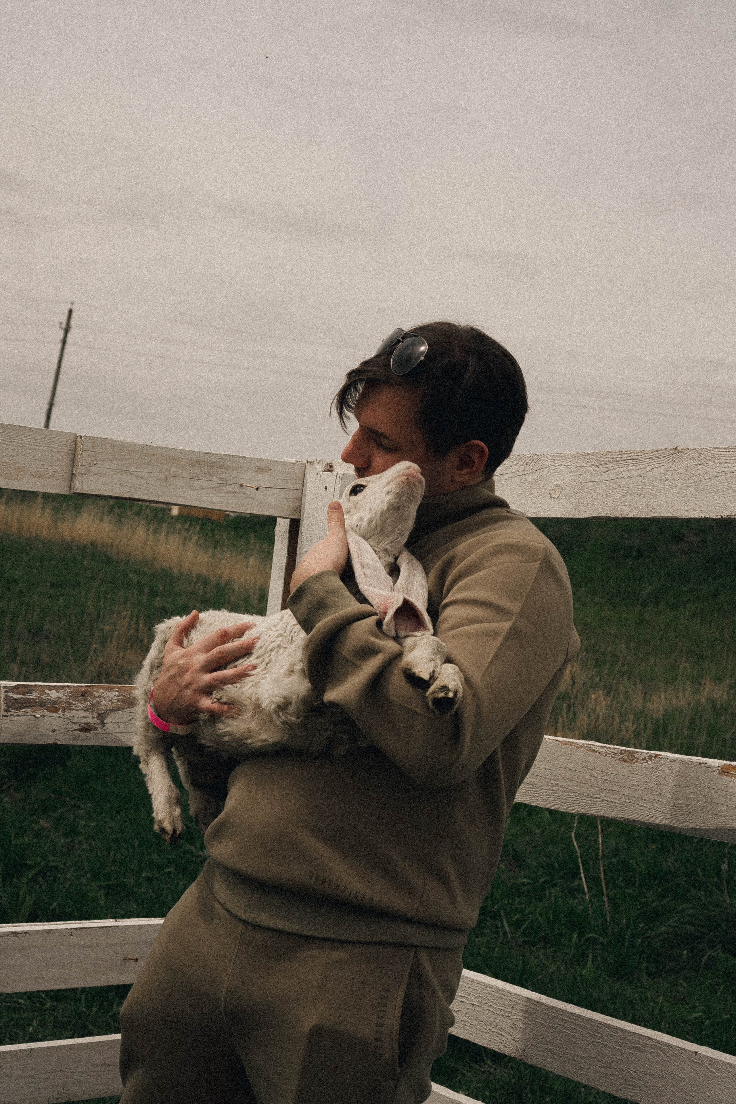 Ферма Альпак. Профессиональный фотограф, Санкт-Петербург — Виктория Богомолова