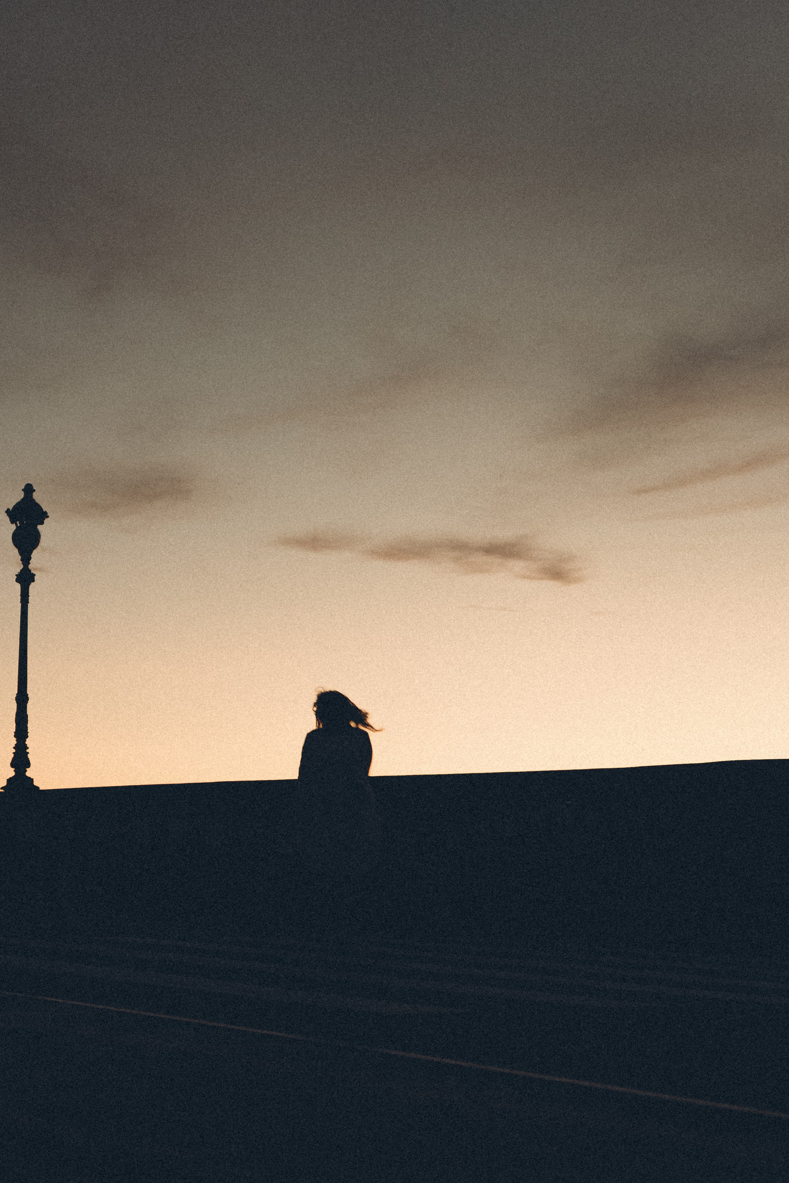 РАССВЕТ С РАЗВОДНЫМИ МОСТАМИ. Профессиональный фотограф, Санкт-Петербург — Виктория Богомолова