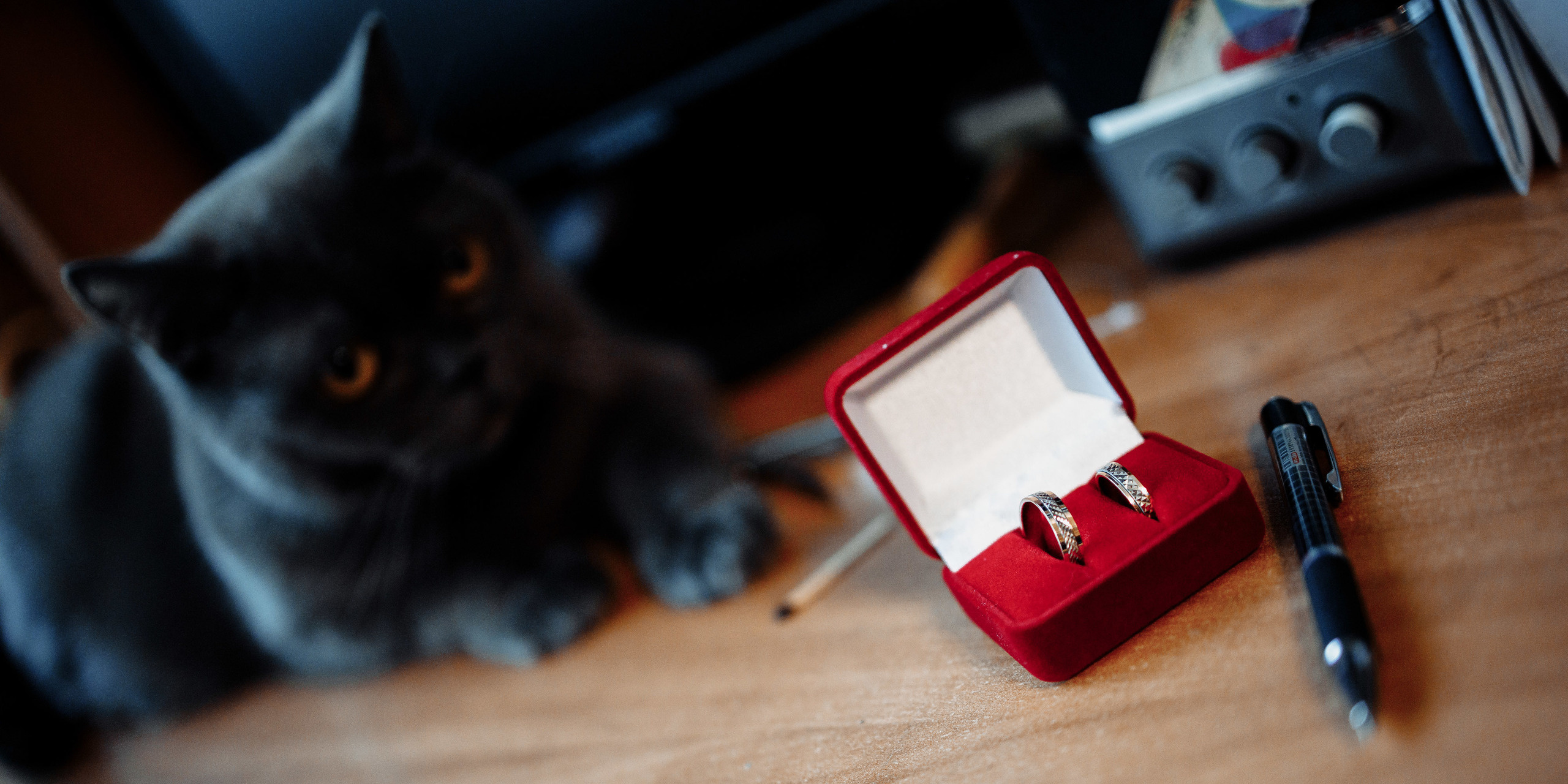 Свадьба Ксения и Евгений. Свадебный фотограф Вашкевич Денис