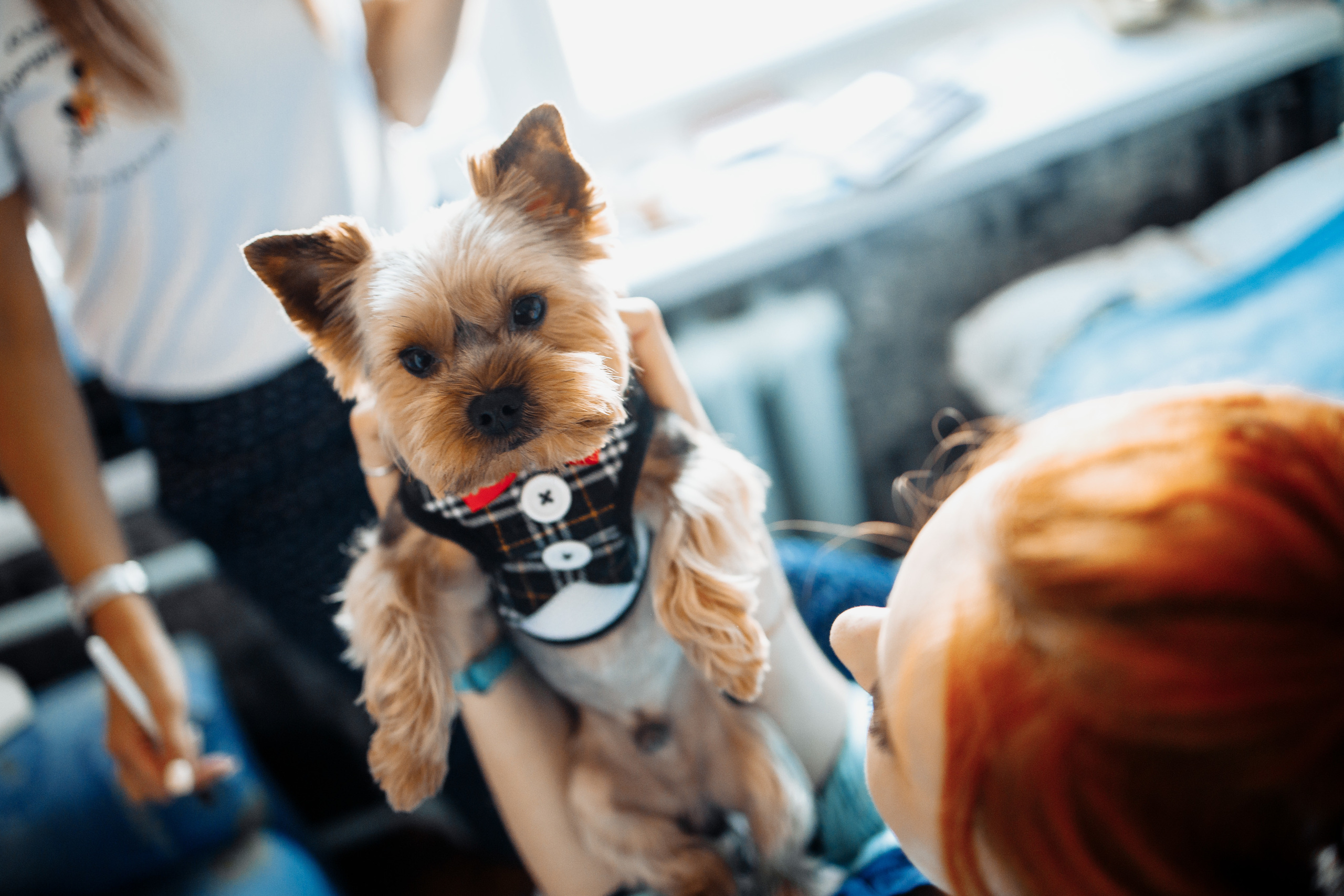 Свадьба Кристины и Виктора. Свадебный фотограф Вашкевич Денис