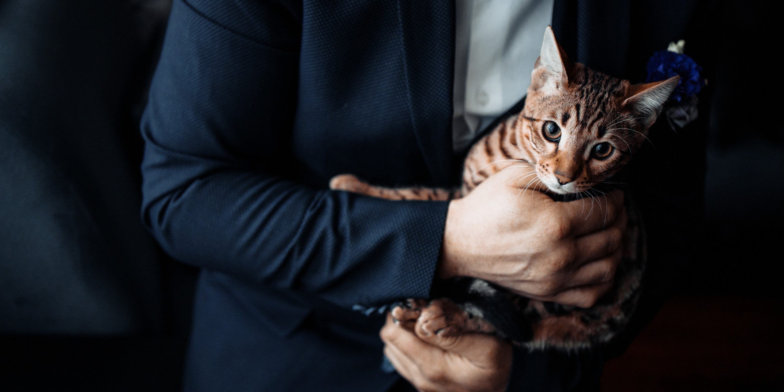 Свадьба Кристины и Виктора. Свадебный фотограф Вашкевич Денис