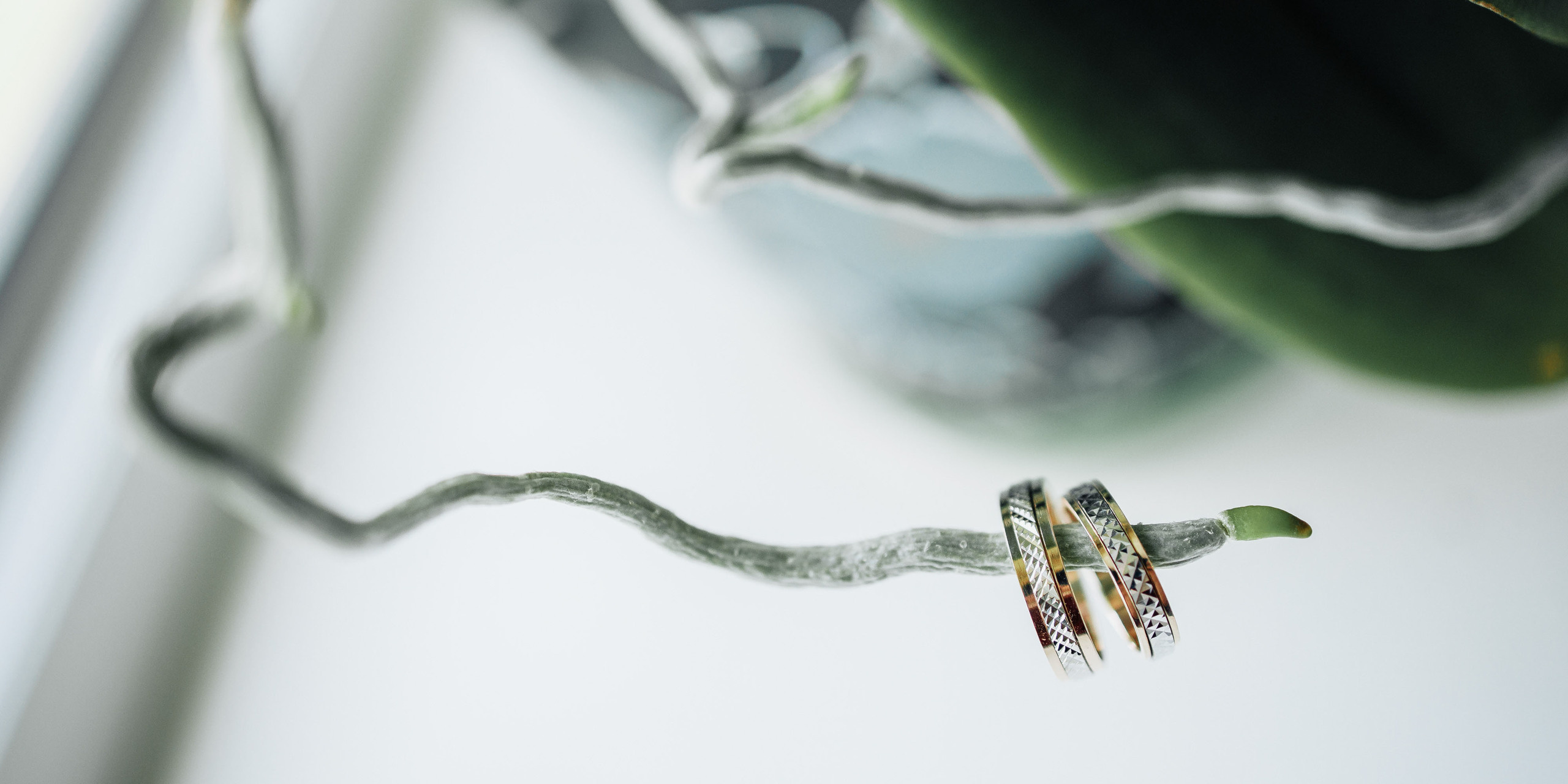 Свадьба Ксения и Евгений. Свадебный фотограф Вашкевич Денис