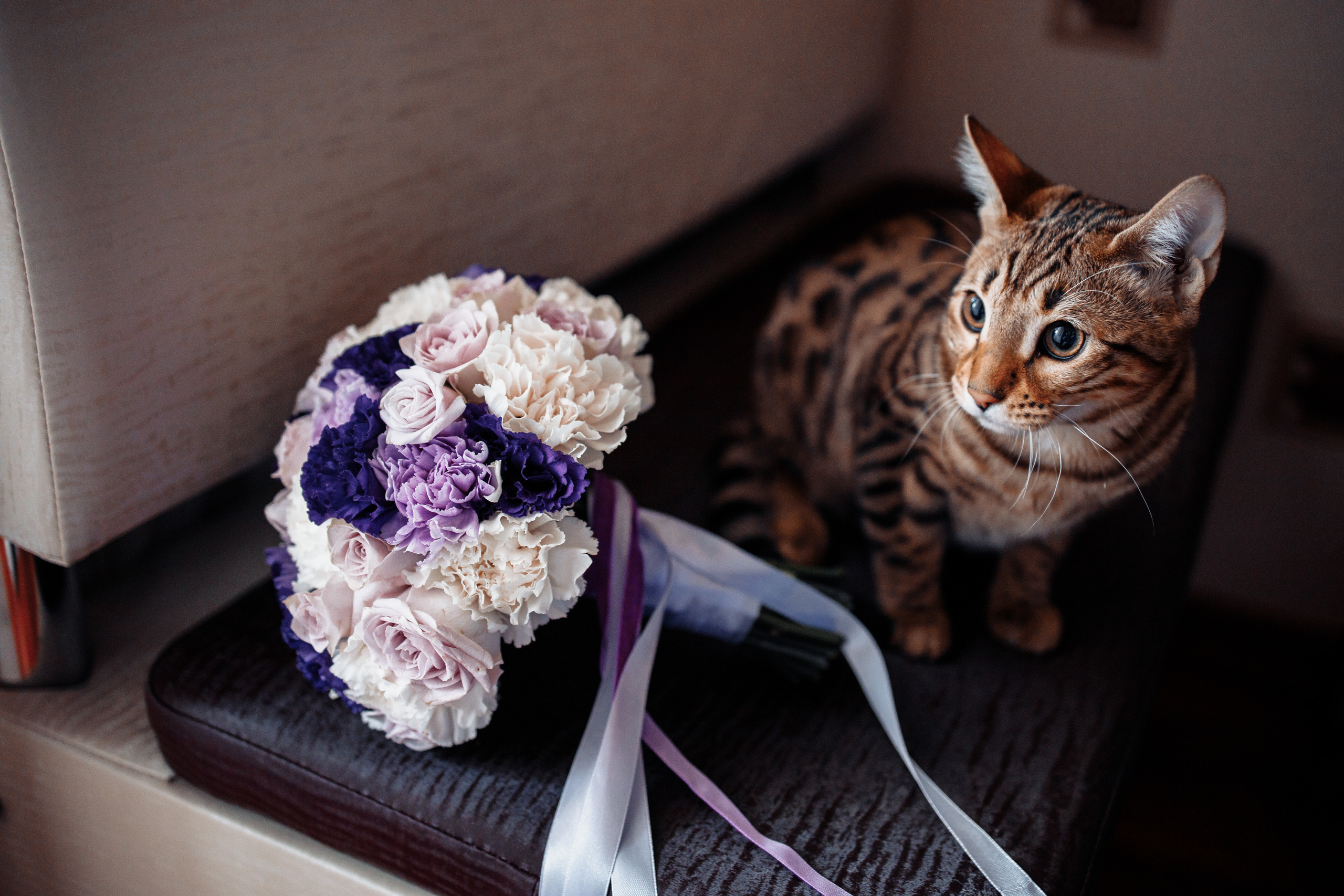 Свадьба Кристины и Виктора. Свадебный фотограф Вашкевич Денис