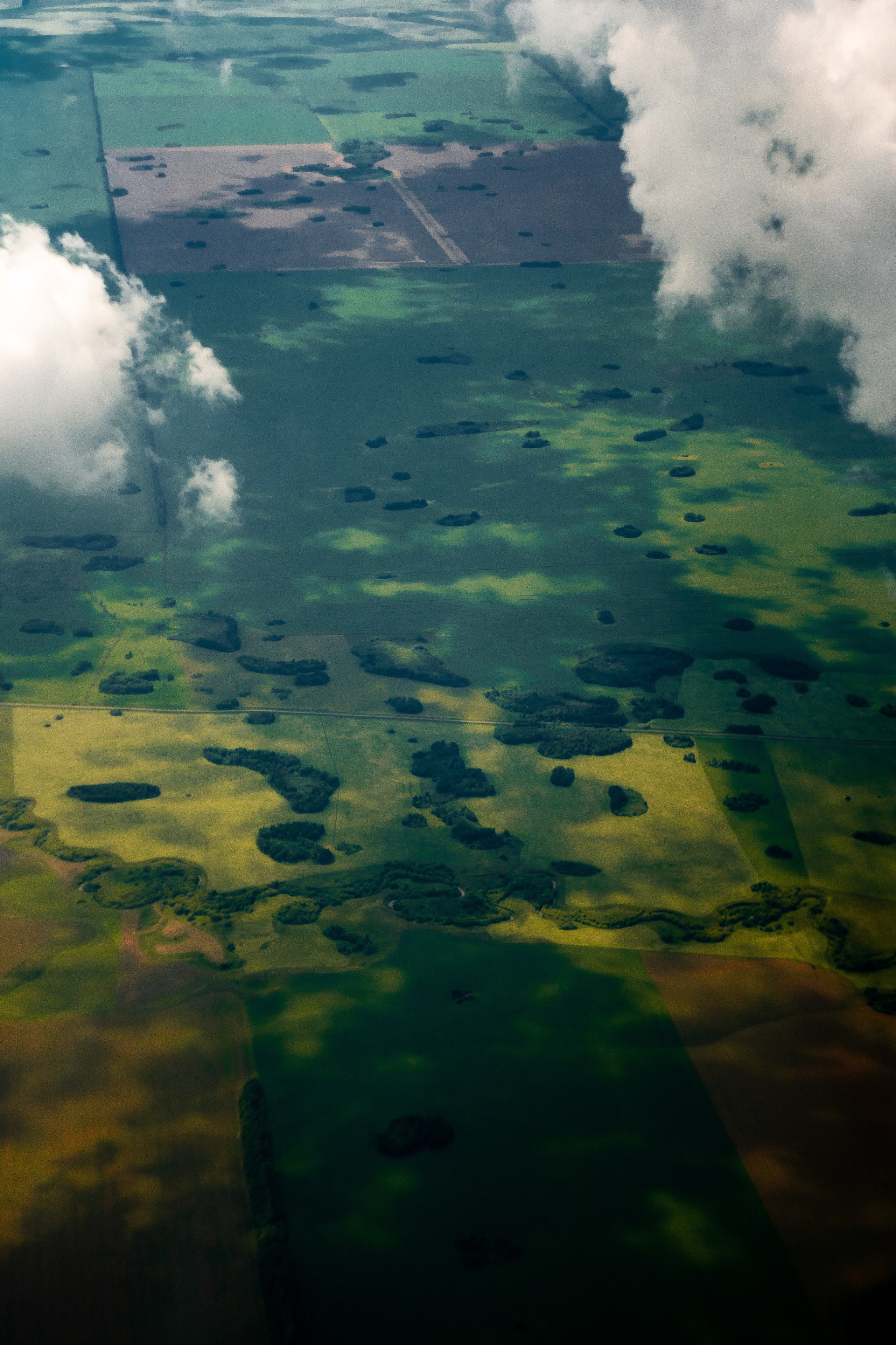 ЦВЕТНЫЕ ФОТОГРАФИИ. Никита Аничкин фото и видео оператор из России