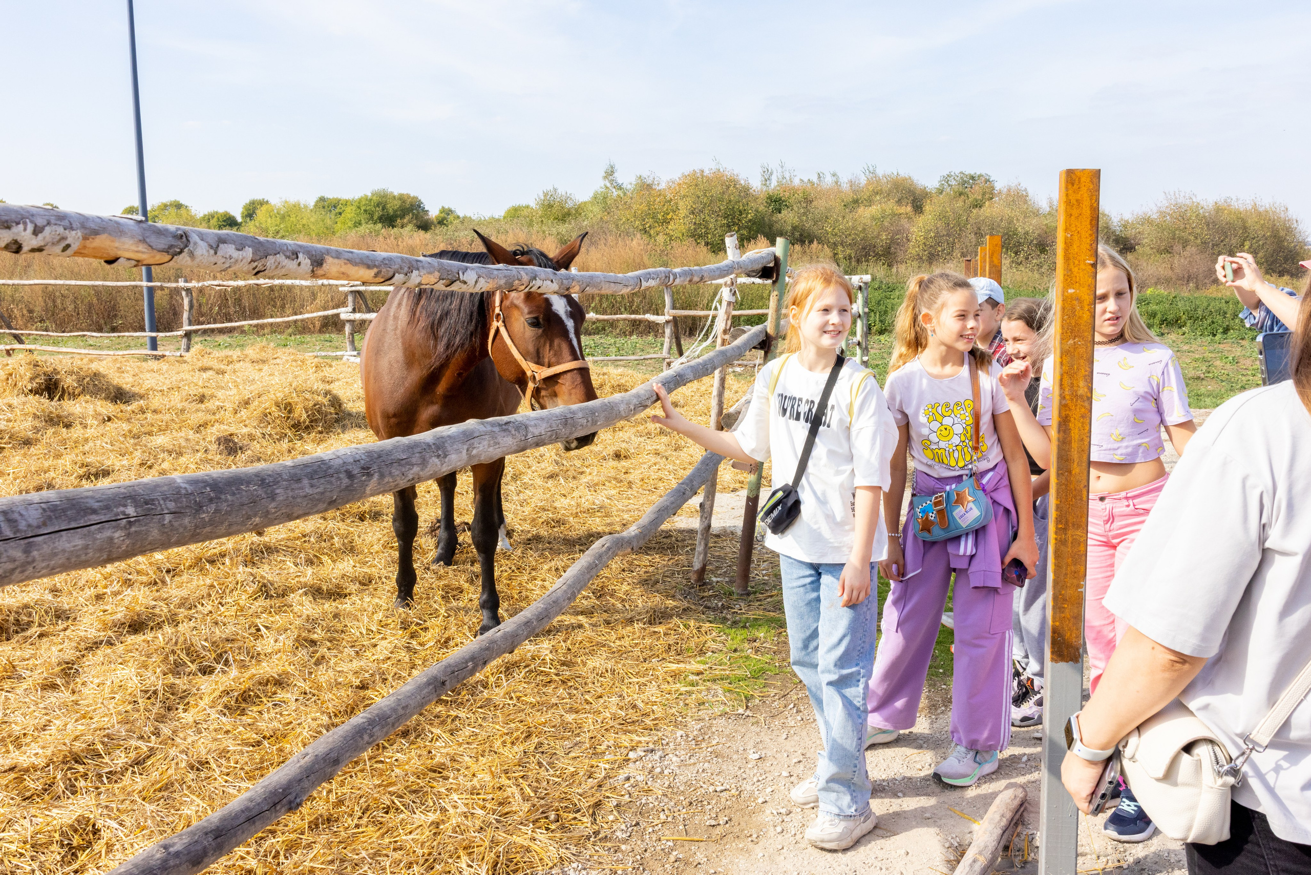 Поездка на поле Кулеково. Фотограф в Туле Крупский АнДРей. Фотостудия «КАДР71» в Туле