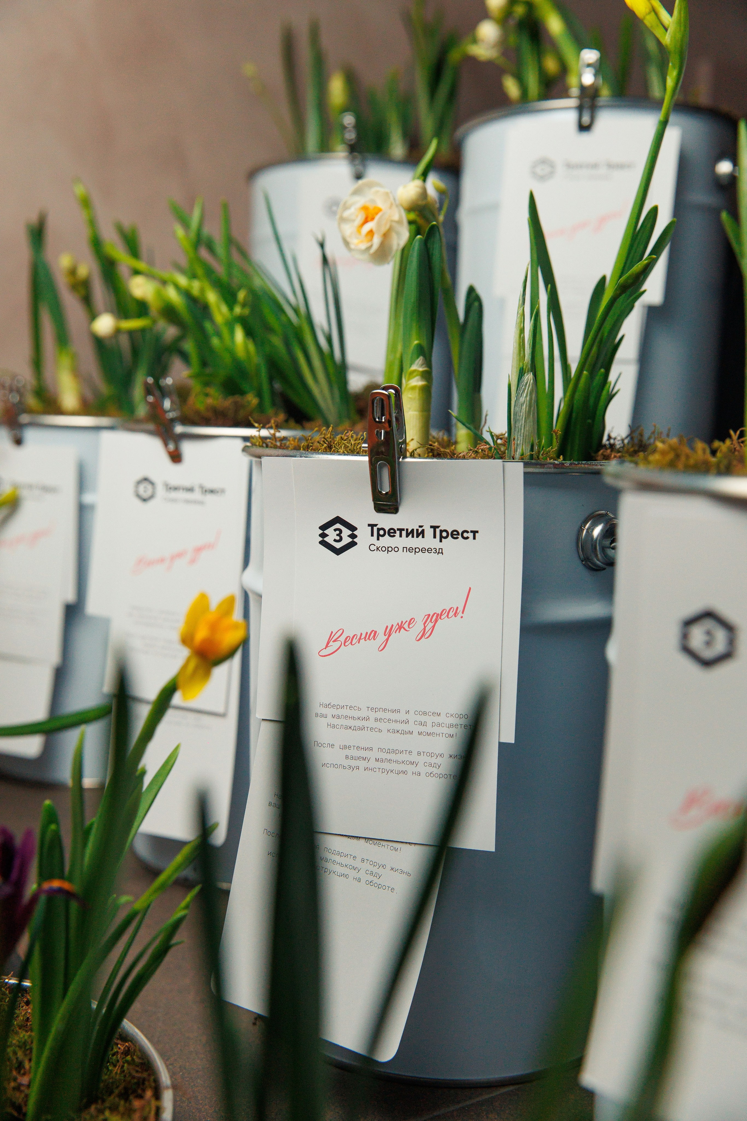 Третий трест в Доме Мафии. Репортажный и свадебный фотограф в Уфе Павел Кожевников