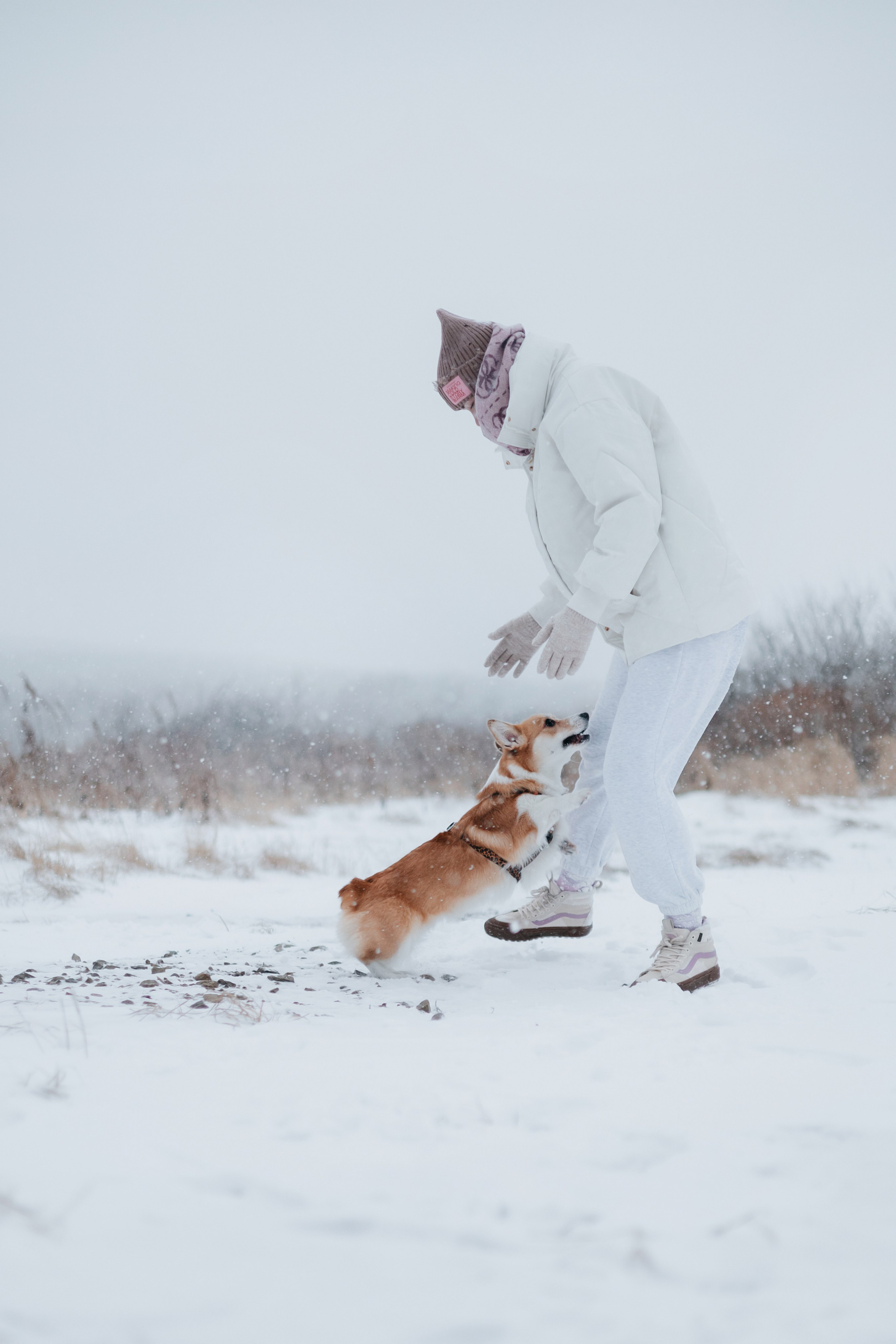 Лена, Лиза и Мия. Фотограф — анималист Владивосток, Алина