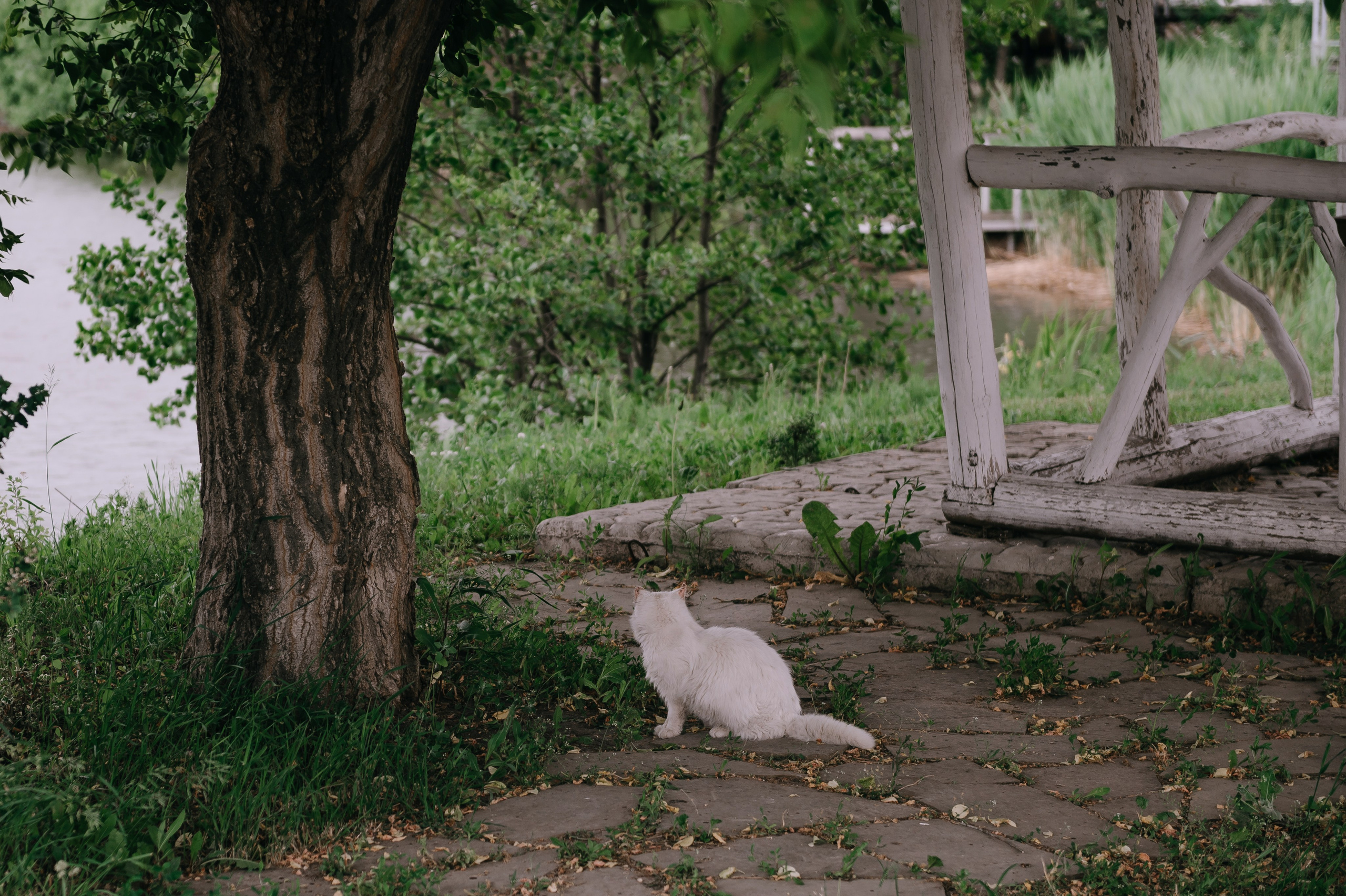 Игорь и Таня. Свадебный фотограф Марина Жемчужникова в Москве и в Белгороде