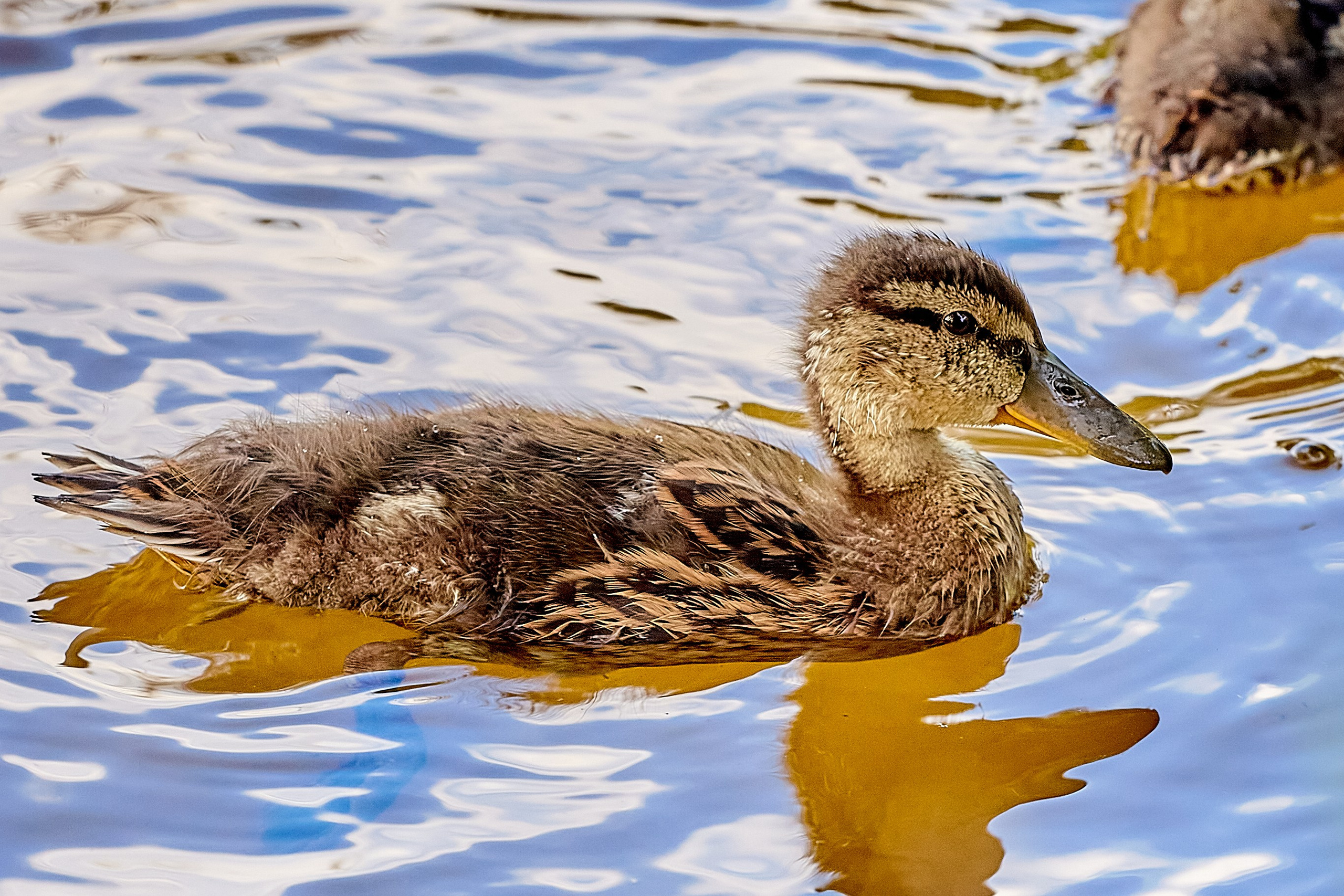 Фотографии природы