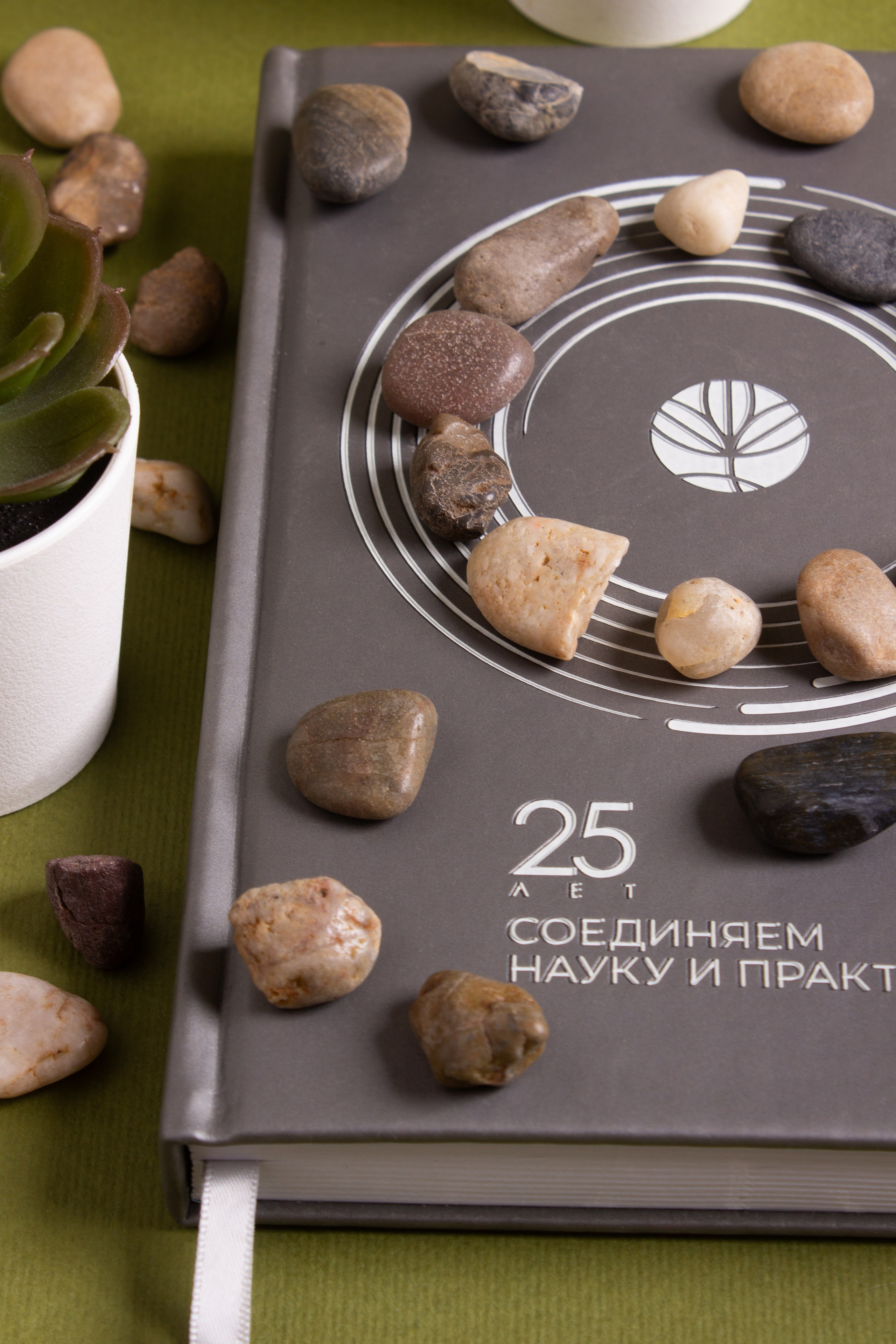 Щелково. Фуд-фотограф в Москве | Профессиональная съемка блюд и еды | Горбачёв Виталий