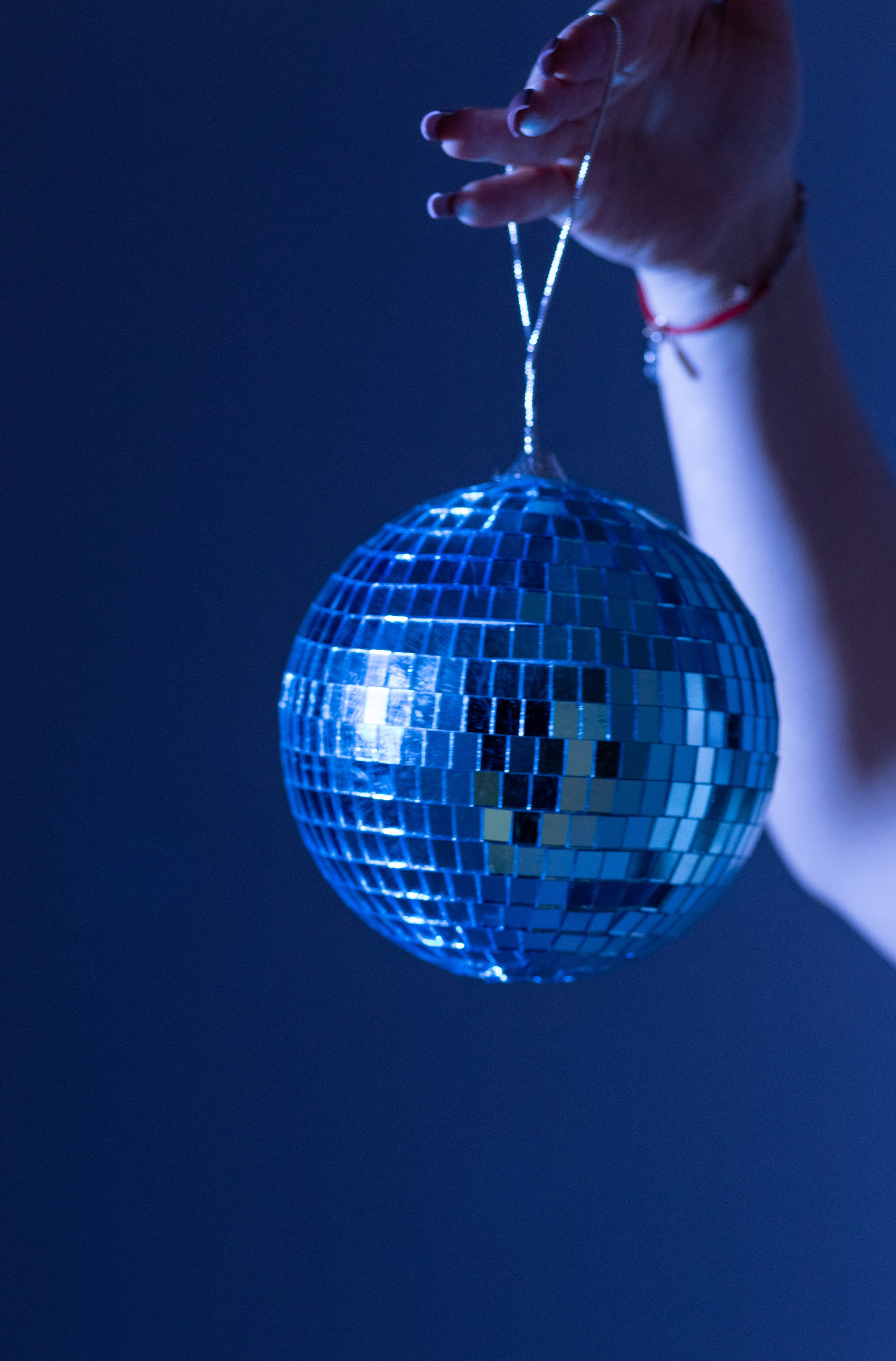 Синий кролик. Вера Соколова фотограф Воронеж