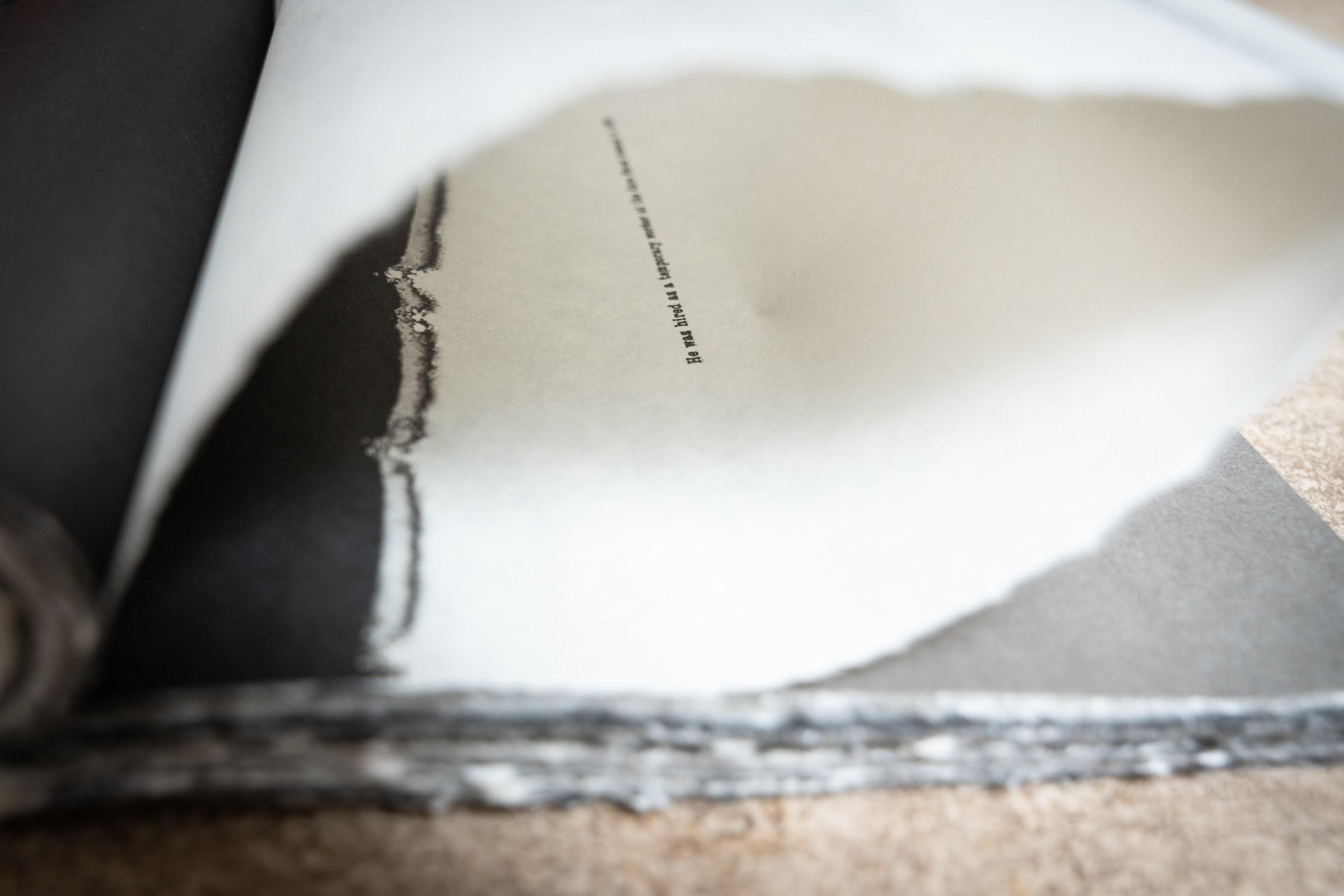 ИНТЕРВЬЮ С АВТОРАМИ: Ёсикацу Фудзии. Самоорганизация Низина