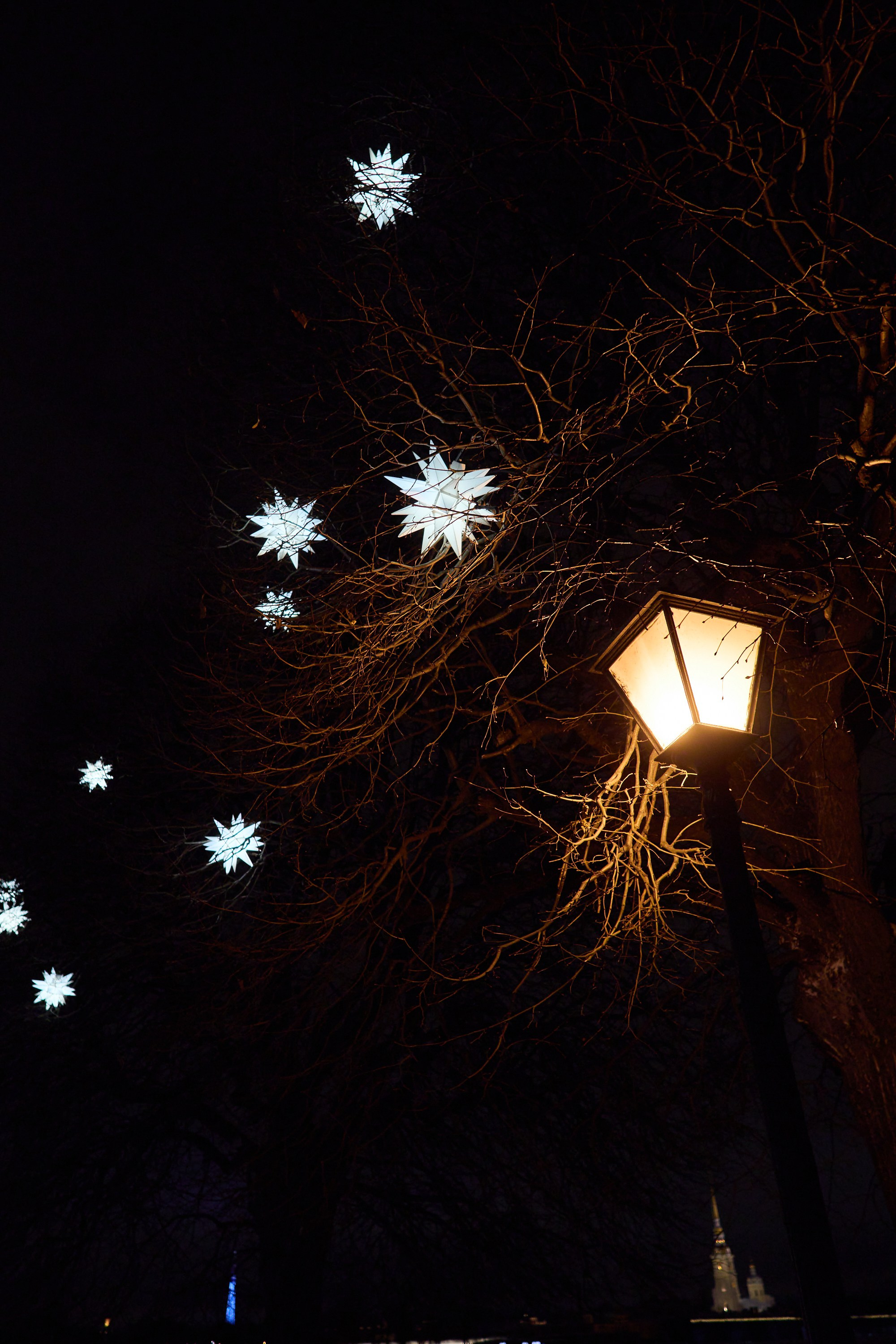 Рождество въ Санктъ-Петербургѣ. Фотографъ Сергѣевъ. Поймать мгновеніе