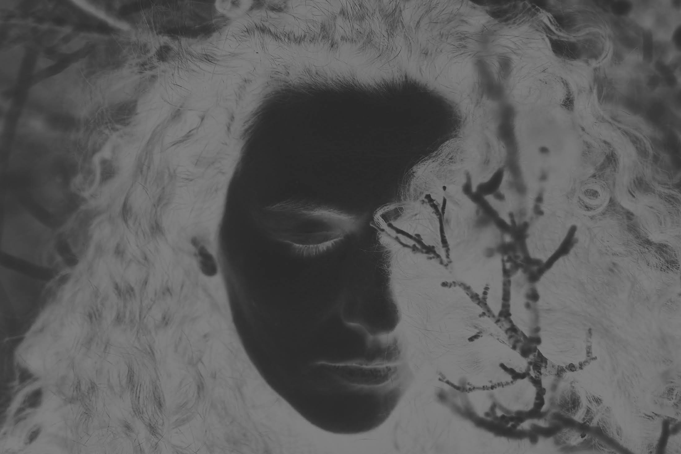 Яблоко. Катерина Малама арт-фотограф