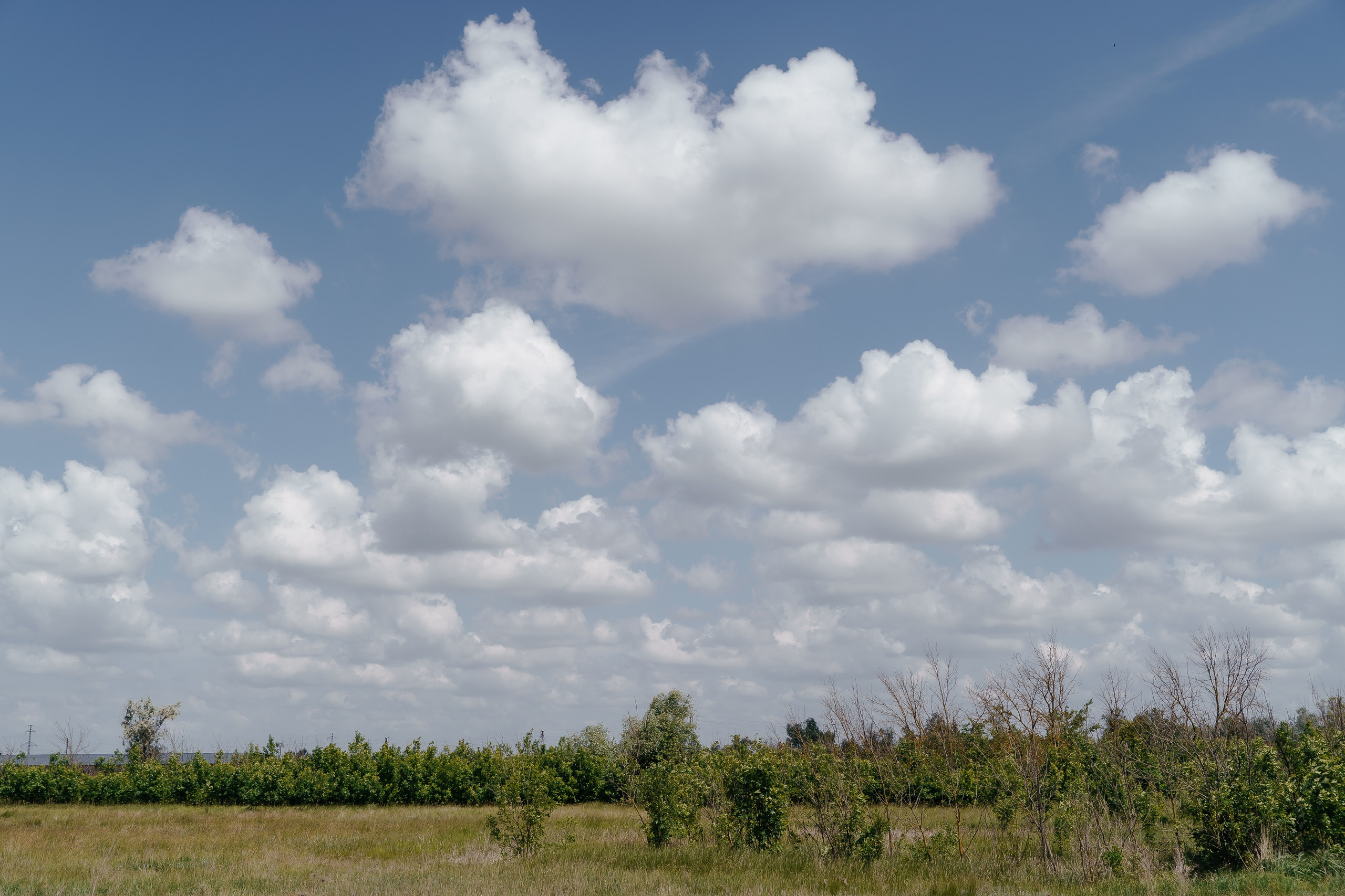 Константин и Елена. Свадебный и репортажный фотограф Ростов-на-Дону Алексей Гуль