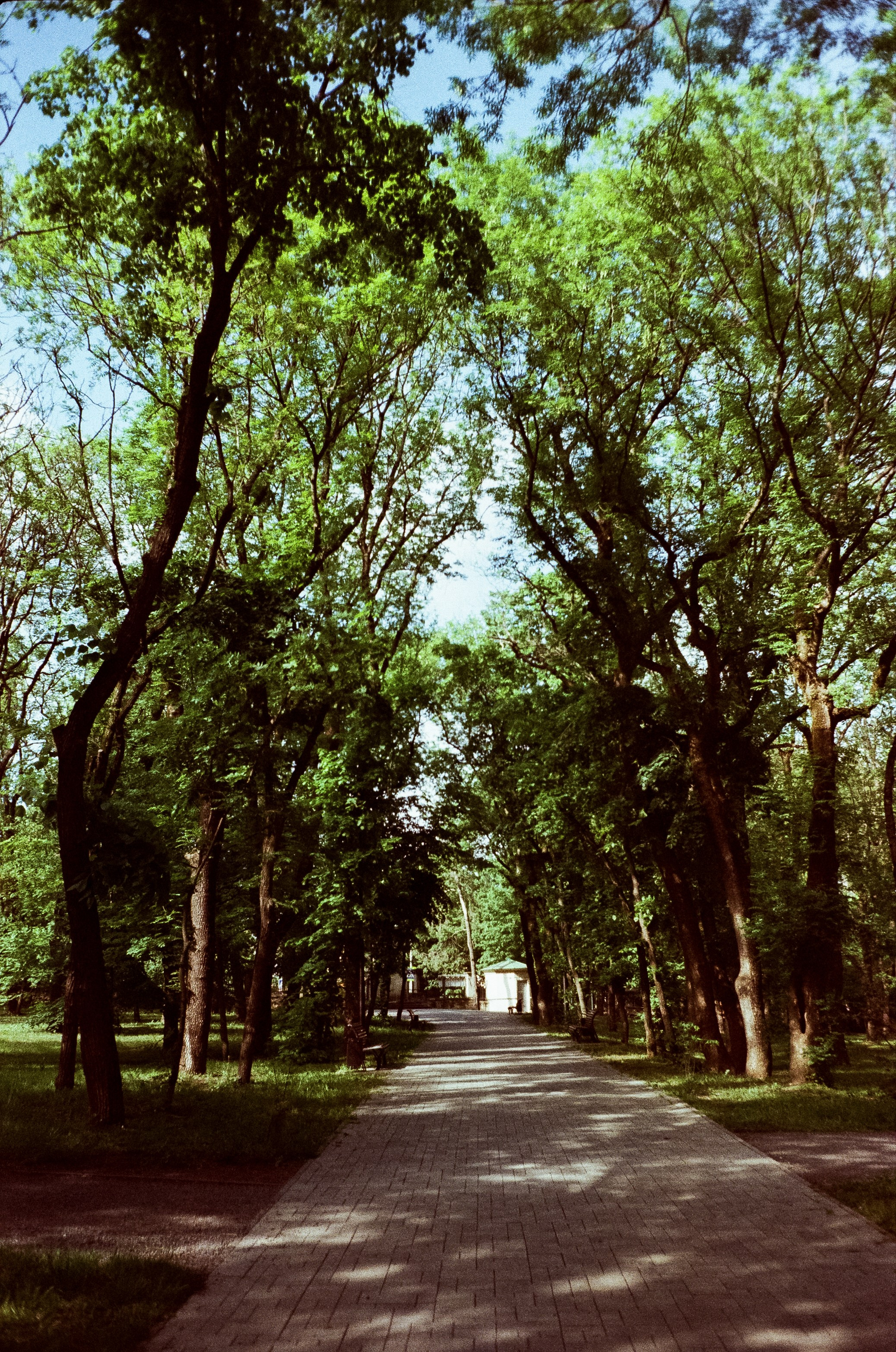 Ессентуки прогулка по городу / Minox 35GT / Agfa Vista 400 (просрочка)