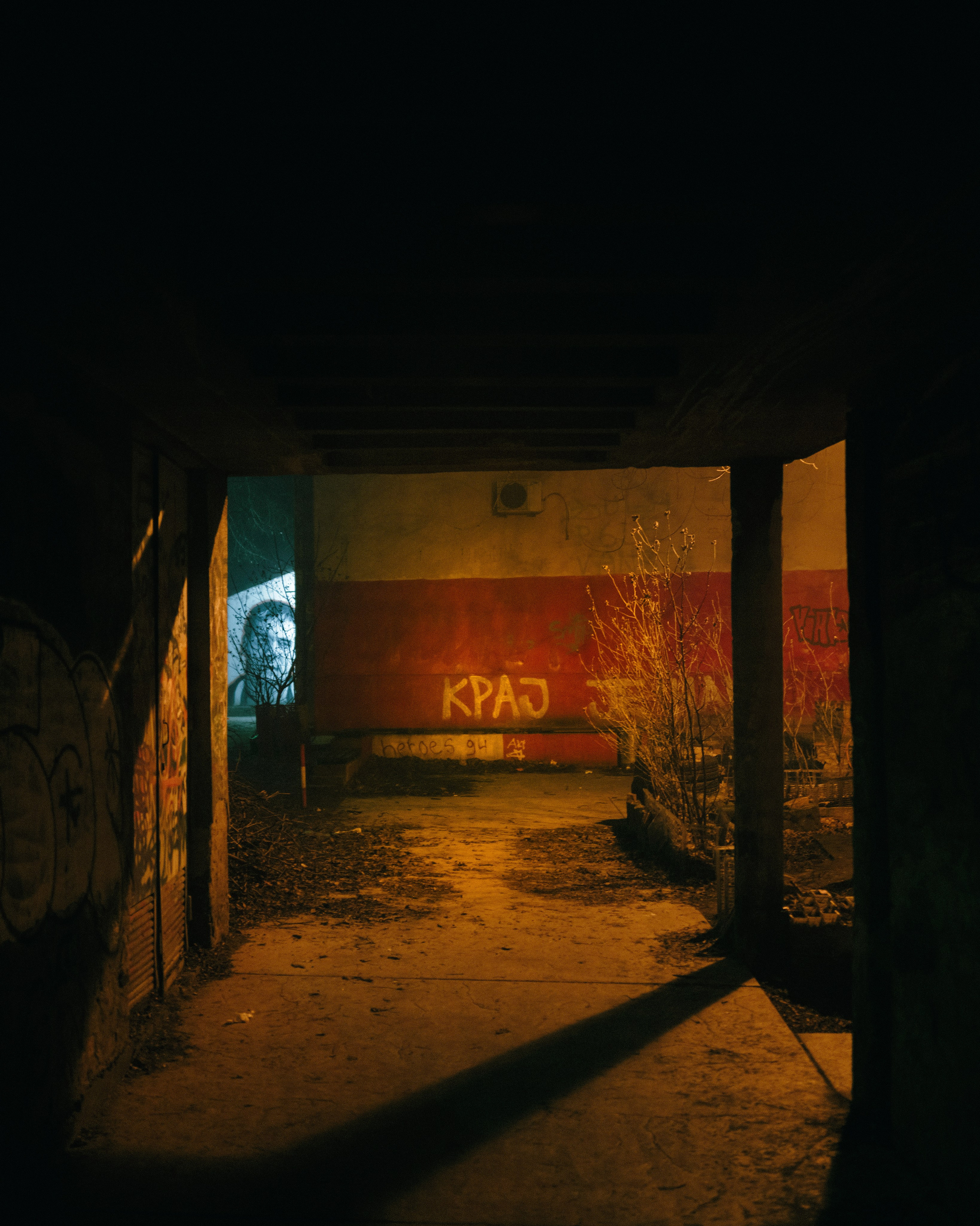 Если ты на Земле — звони