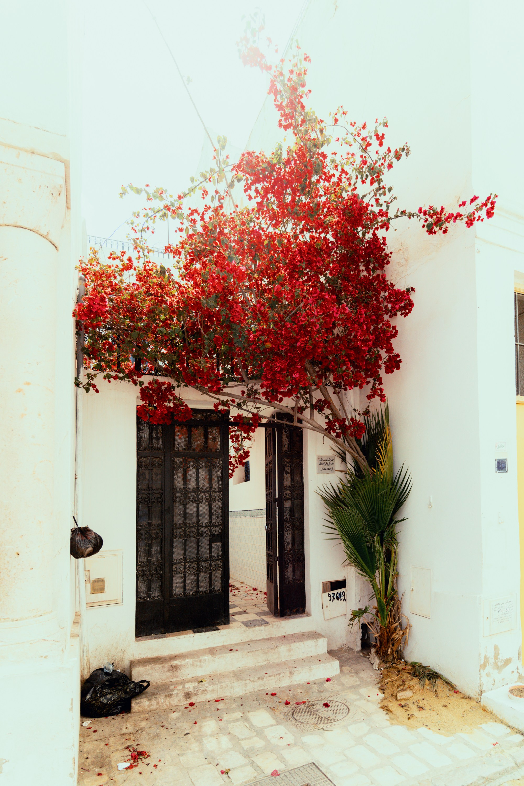 Северная Африка: Тунис, Марокко. Фотограф в Хабаровске. Фотография за 24 часа