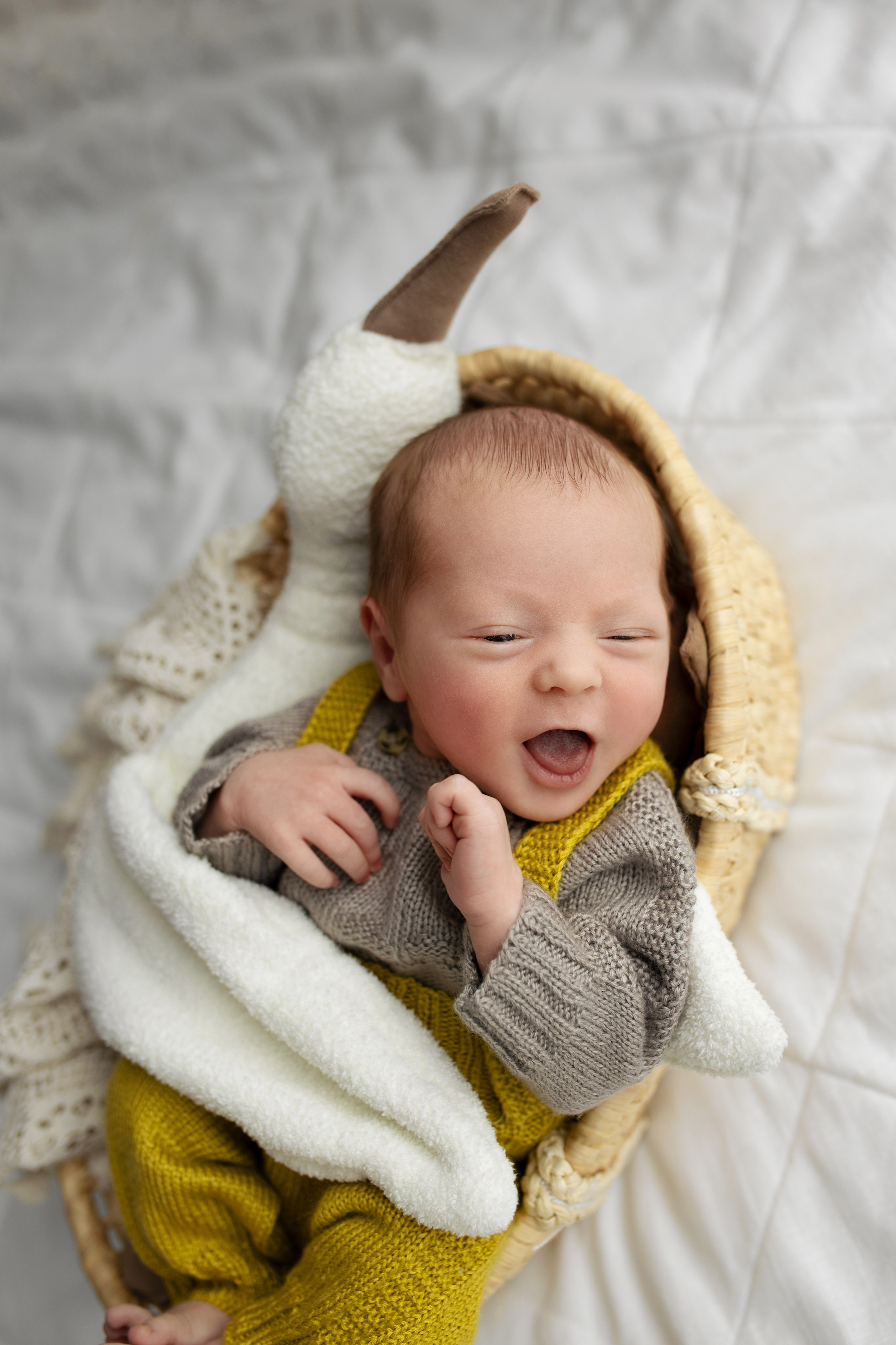 Вовочка (пакет мини). Фотограф новорожденных в Барнауле Русакова Анастасия
