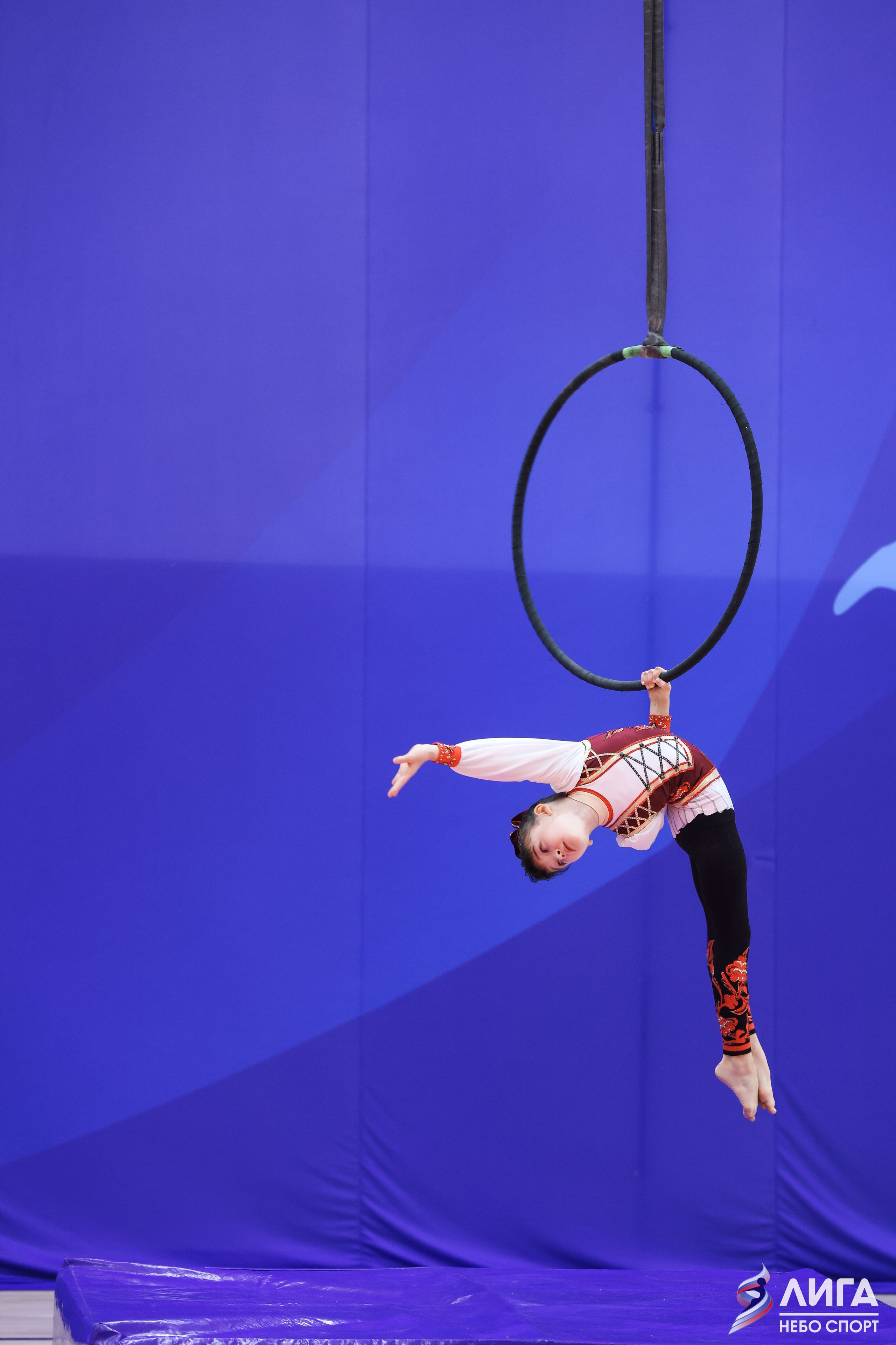 Воздушная гимнастика🏆КУБОК ФЕДЕРАЦИИ Г. МОСКВЫ🏆(16.11.24). Свадебный фотограф Михаил Александров
