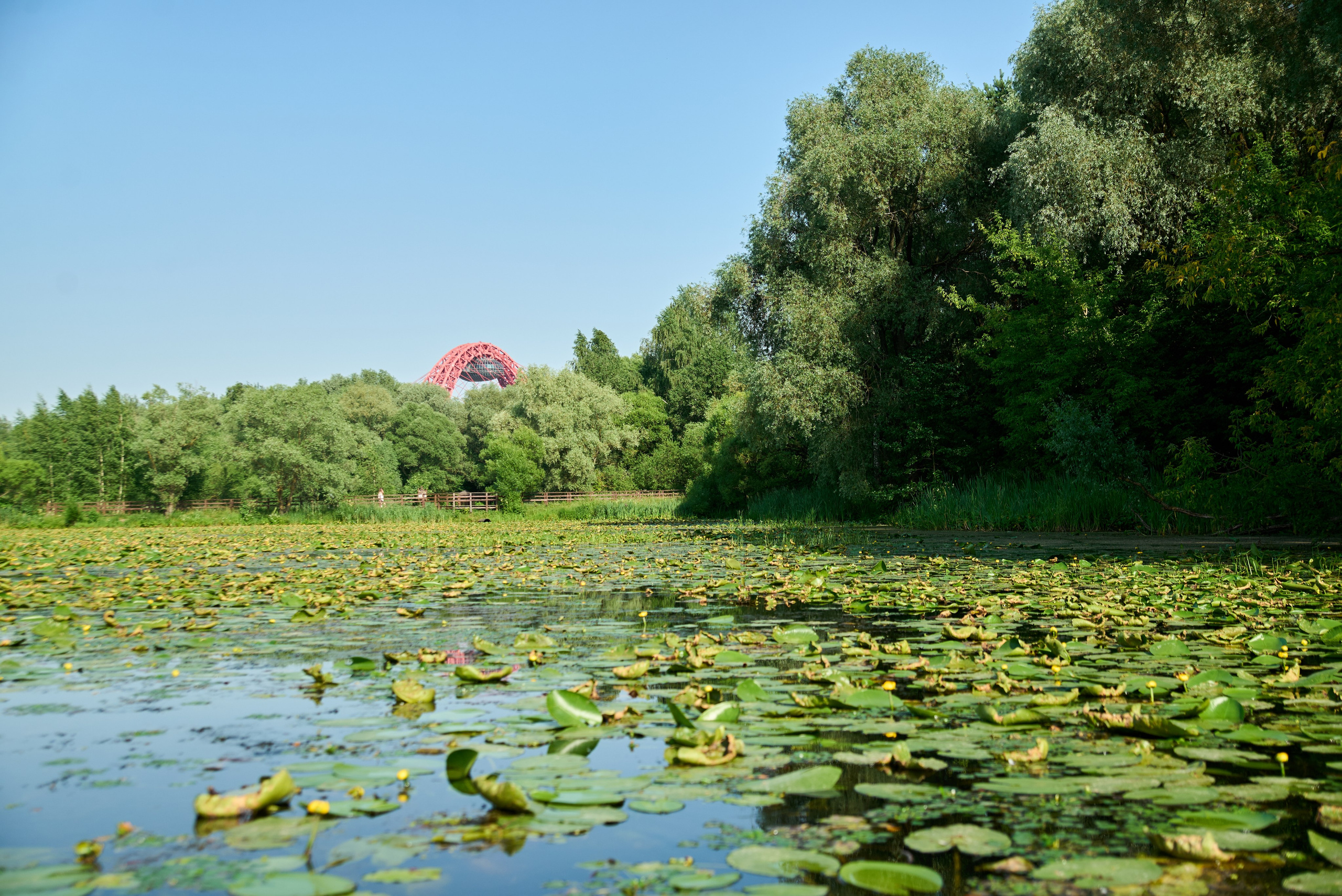 All-hands Третье Мнение 2025. Елизавета Мальгина, фотограф в Москве