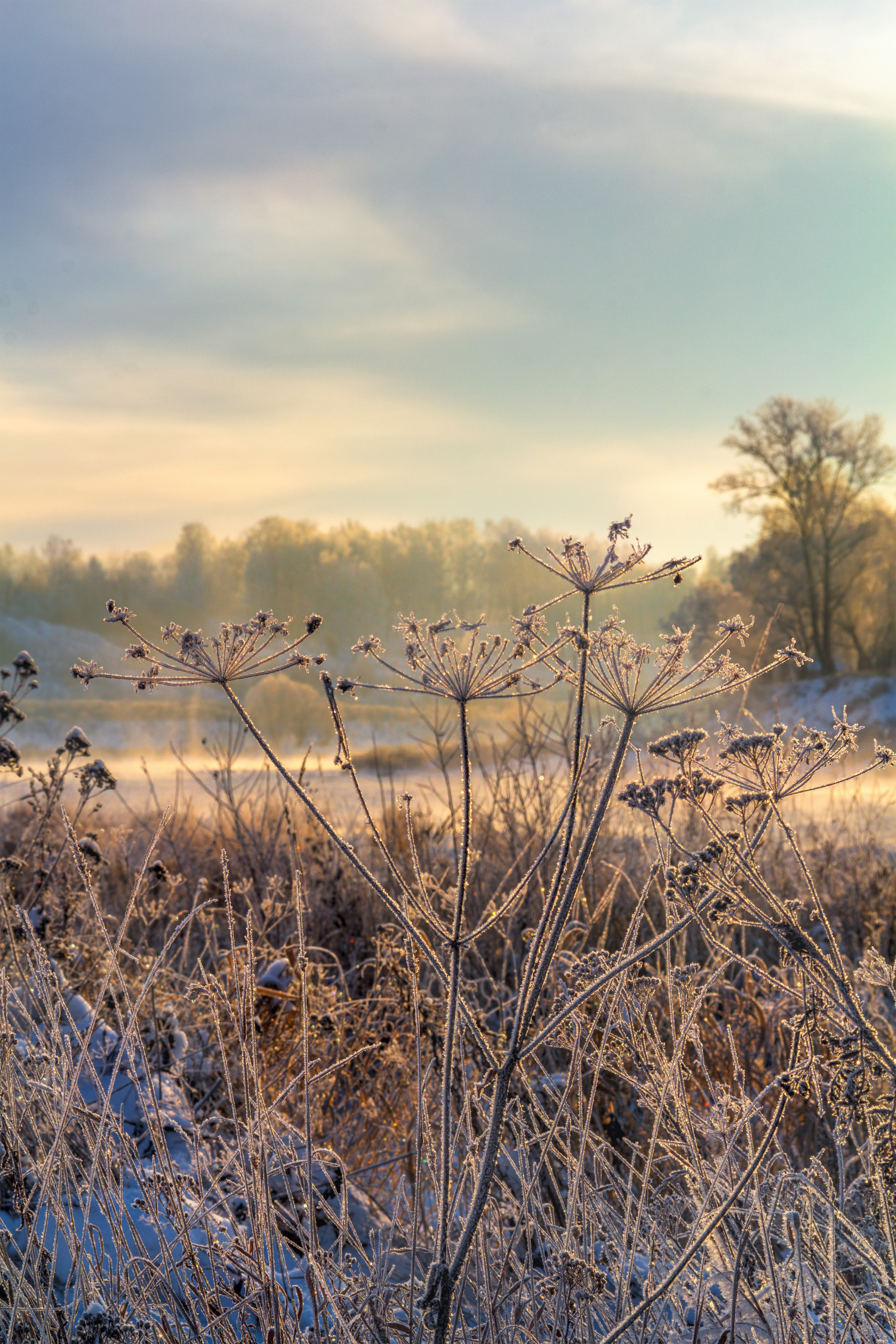 Фото Павла Крайникова